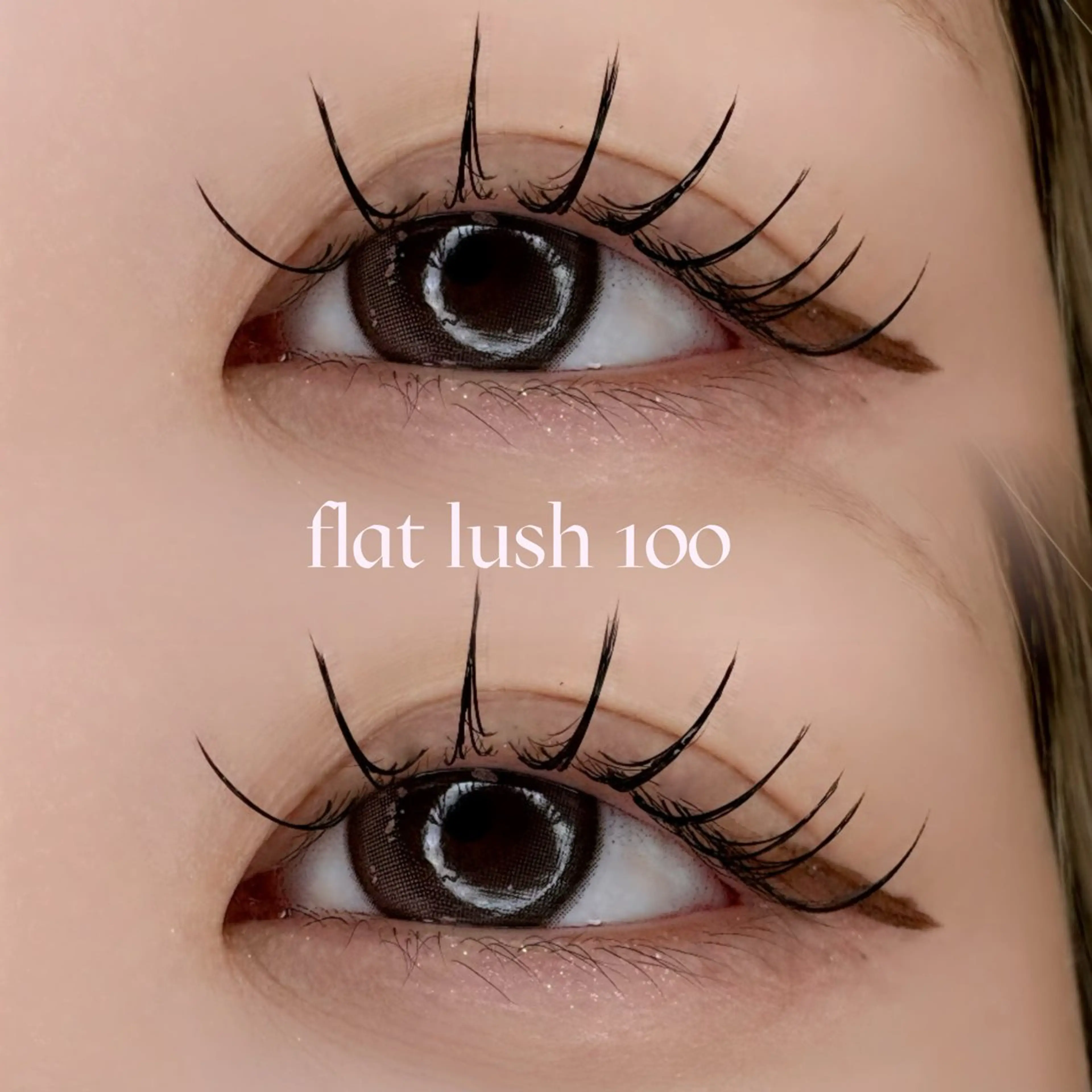 【3月限定🫶🏻✨】フラットラッシュ100本🍀の写真