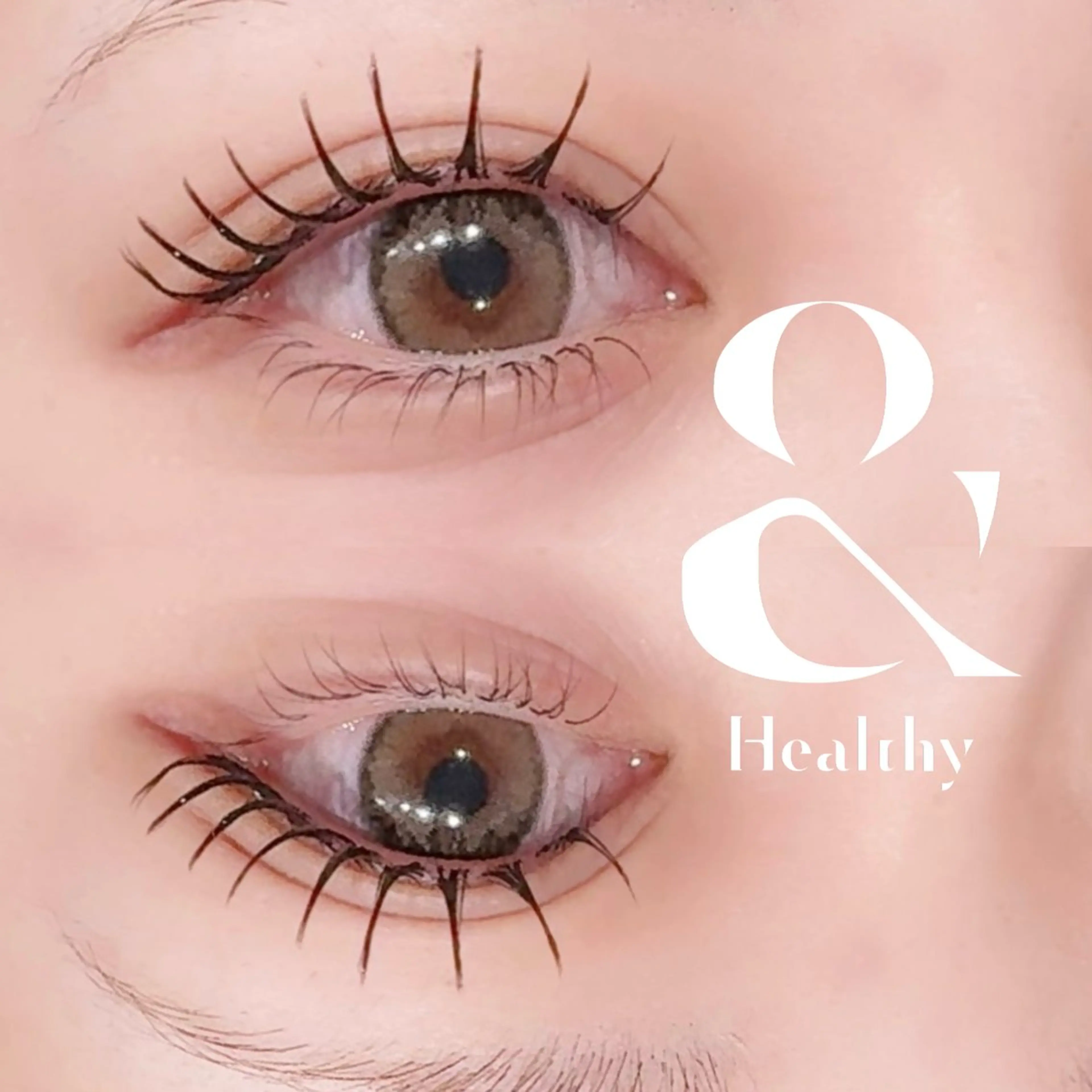 マツエク・マツパ マツエク 【Aile】 YUKAのマツエク・マツパデザイン