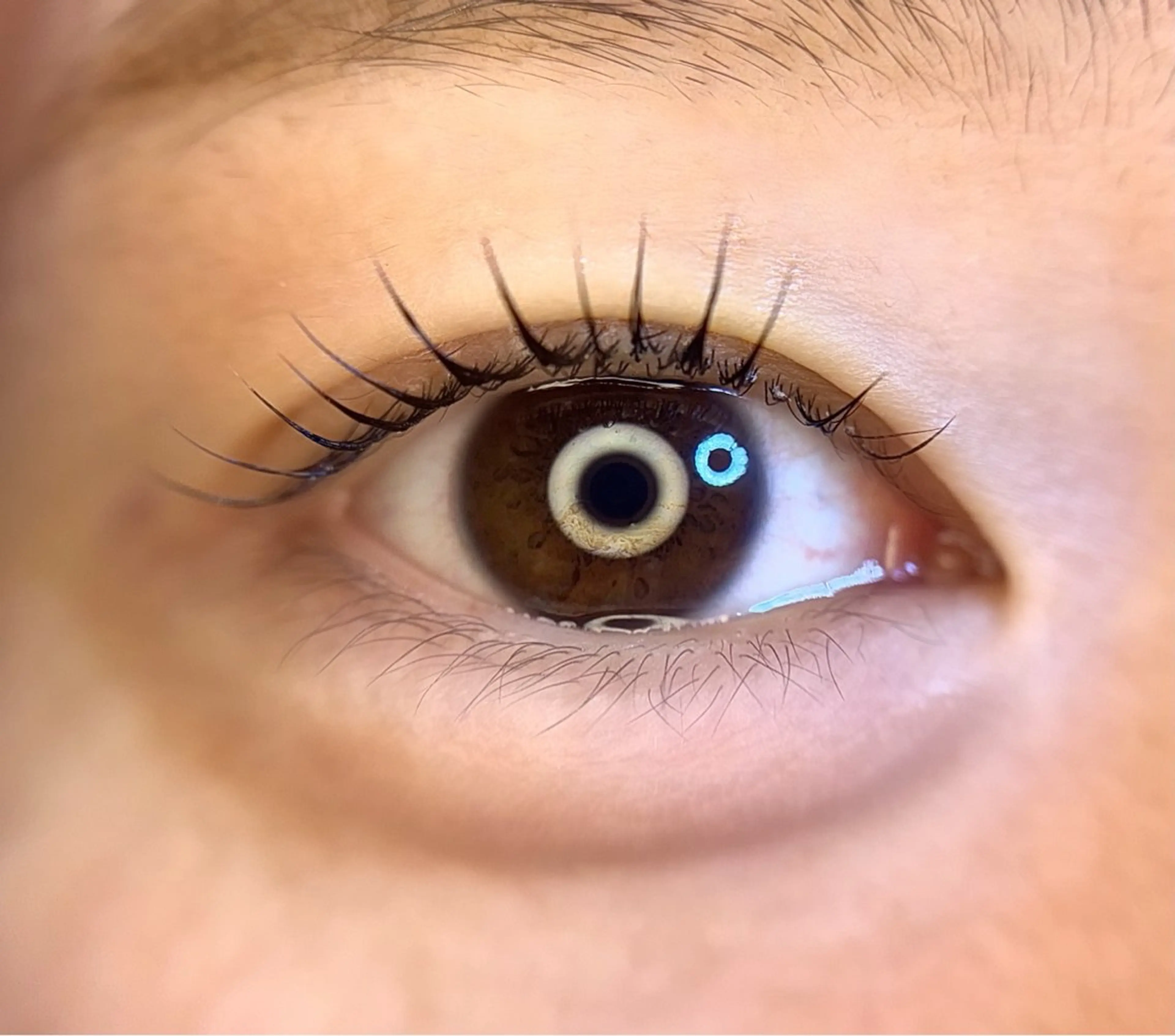 【担当KANO】パリジェンヌ上下 ご新規様限定価格です☘️1日2人限定になります😌JrアイリストKANO限定🫧の写真