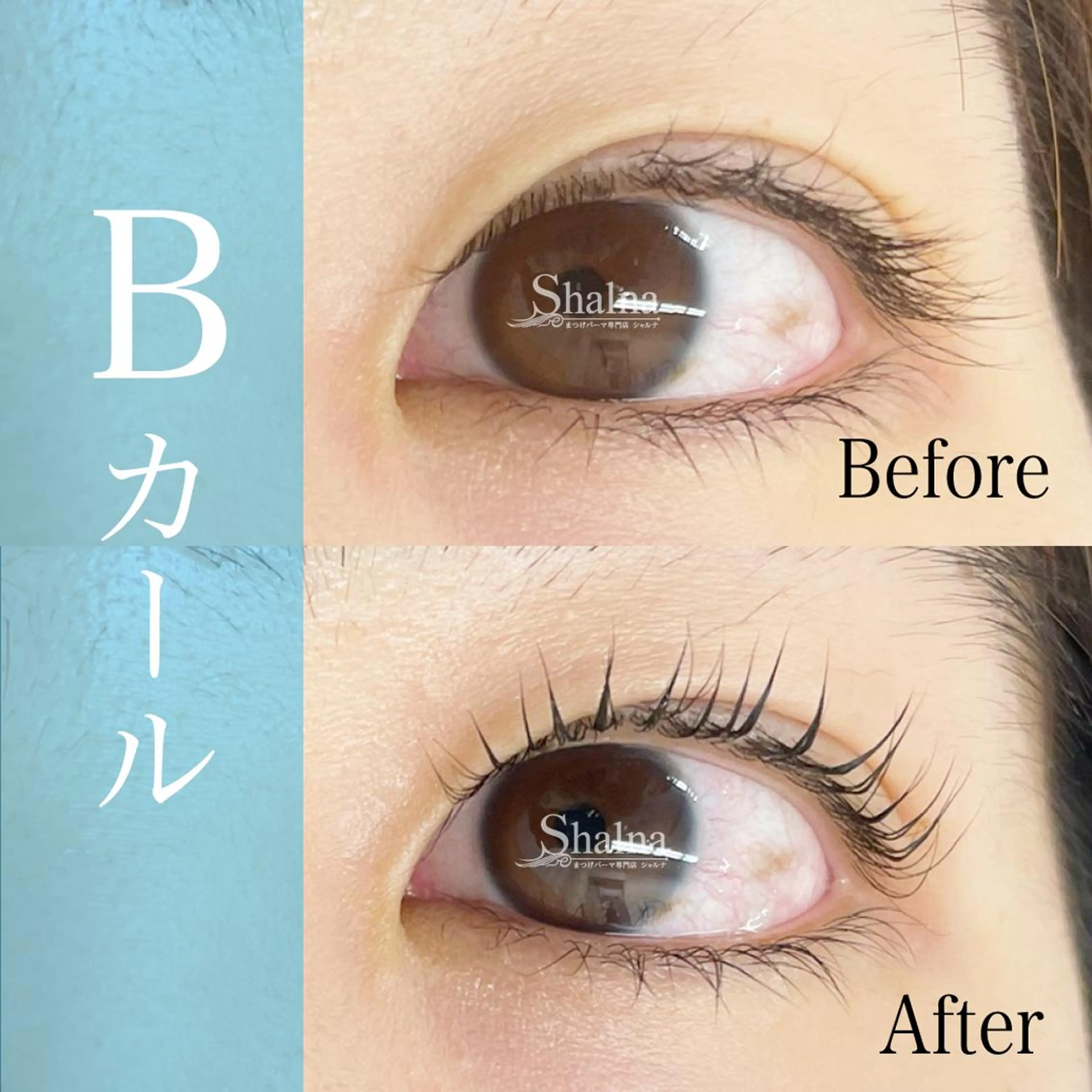 マツエク・マツパ まつげパーマ専門店 シャルナ　船橋店のマツエク・マツパデザイン