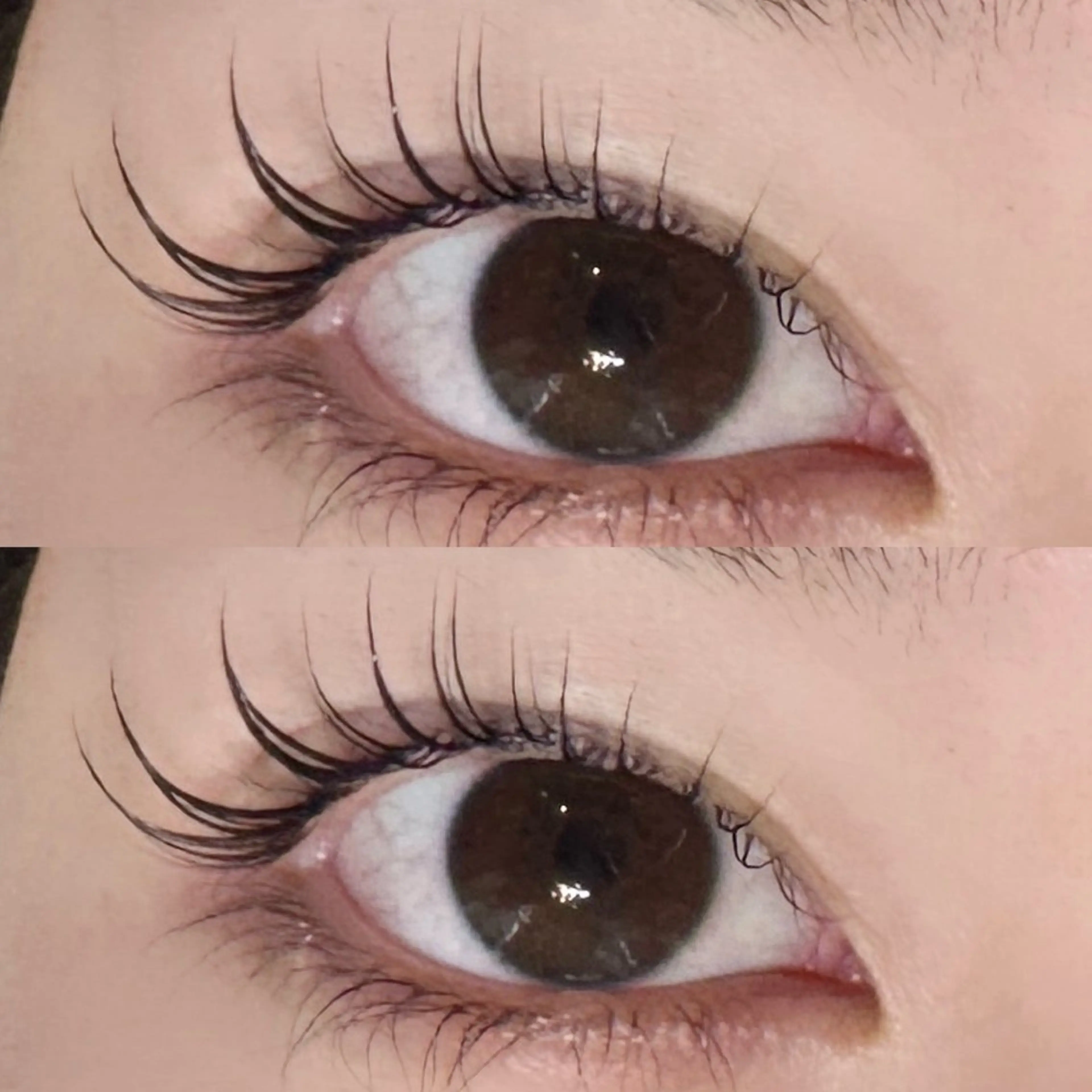 【ミニモ限定】上下まつ毛パーマ👀💕の写真