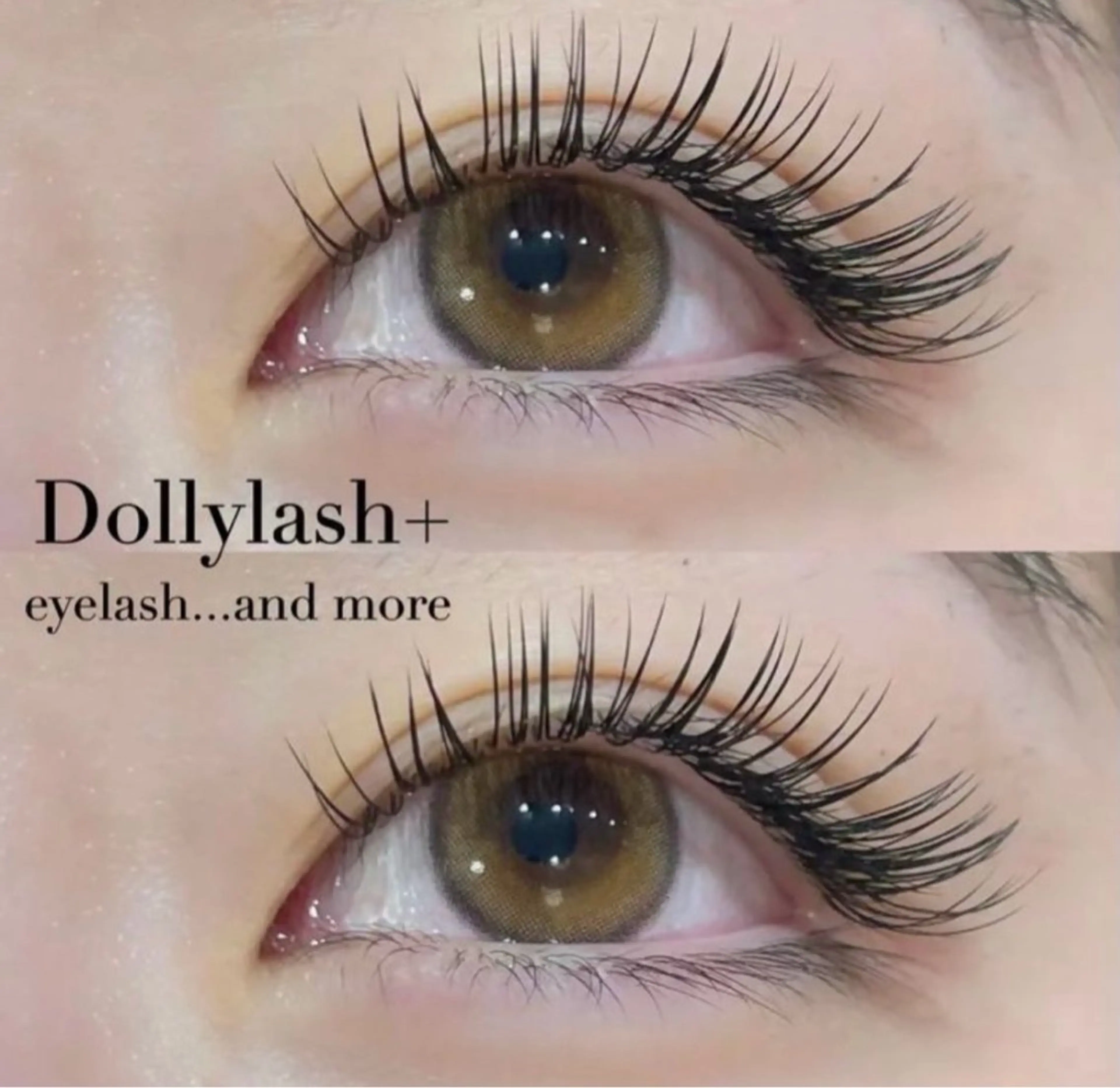 マツエク・マツパ ドーリーラッシュ 相川のマツエク・マツパデザイン