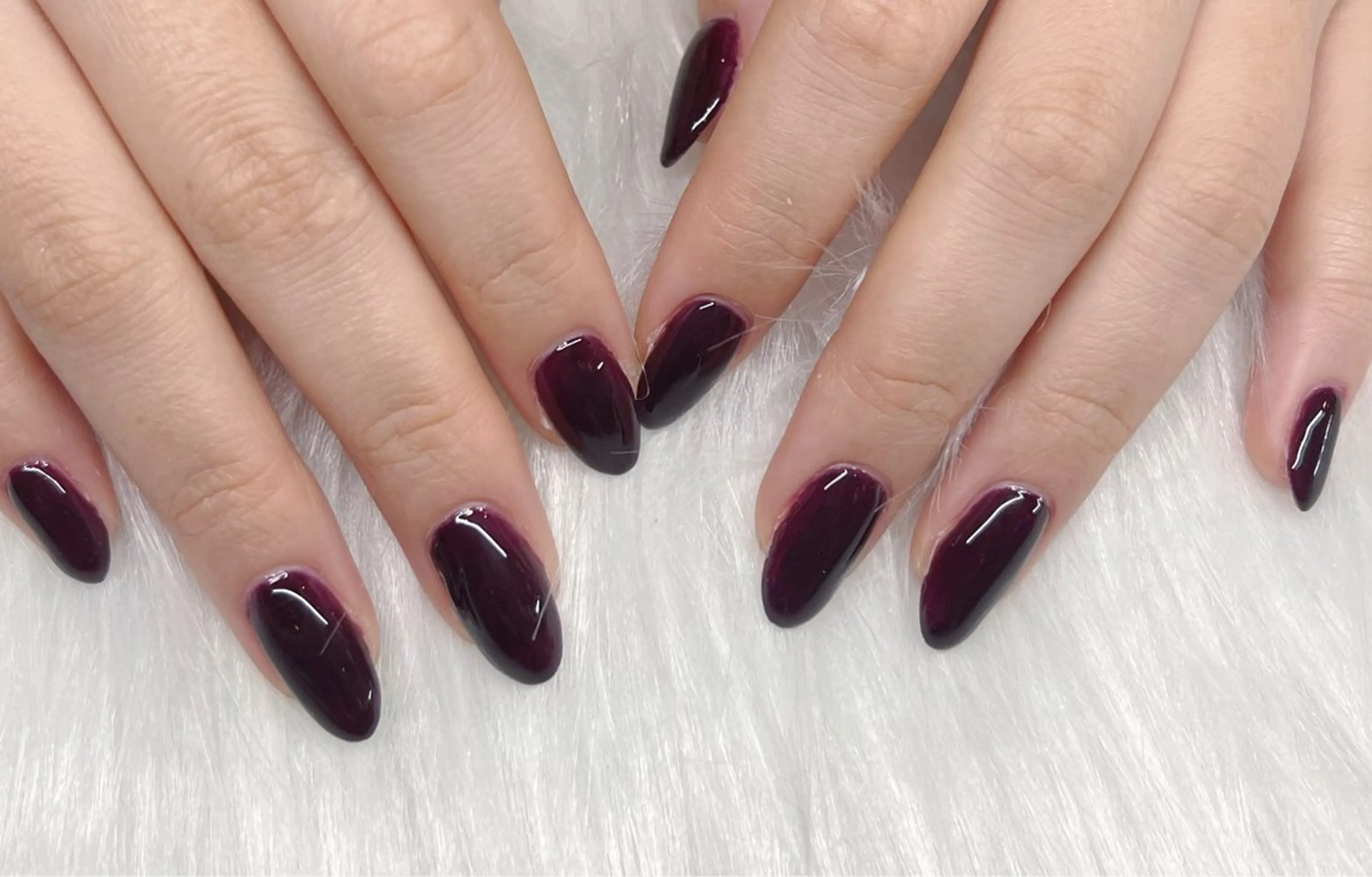 ワンカラーの写真