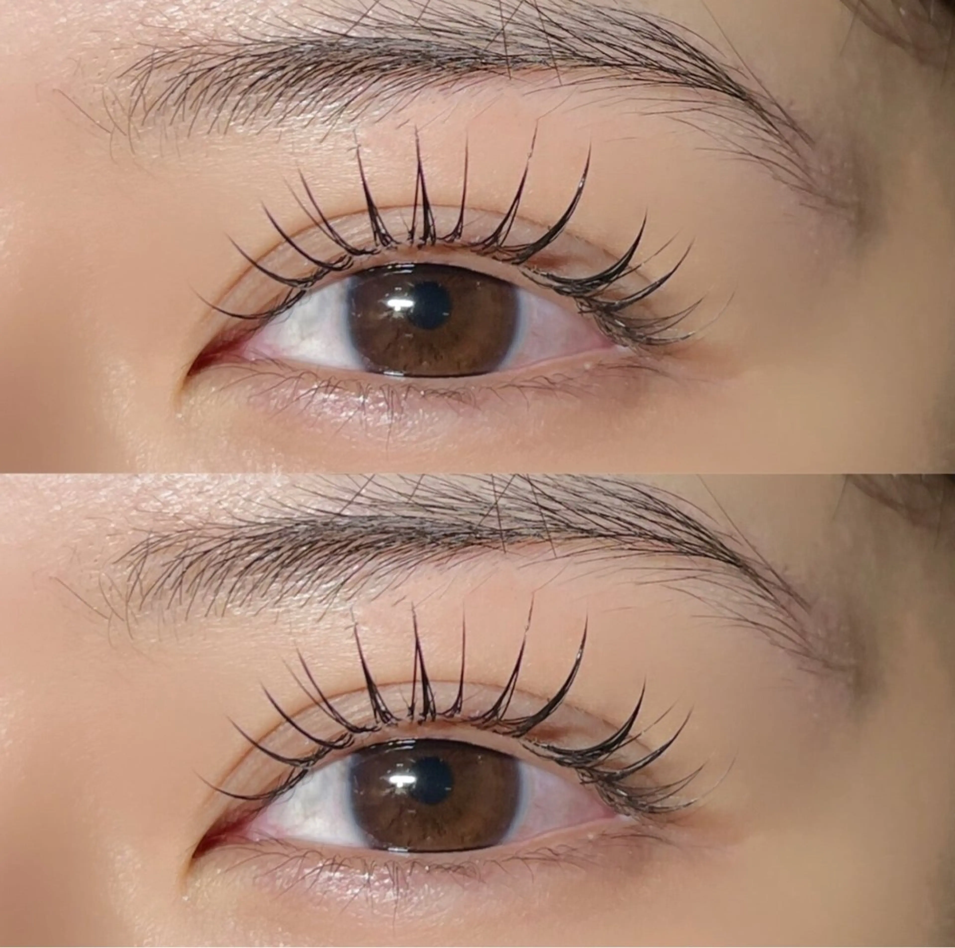 ⌇🌛パリエク🌛⌇パリジェンヌ➕フラットラッシュ120本👀逆まつげのかたも✨最強パッチリ🧡🧡の写真