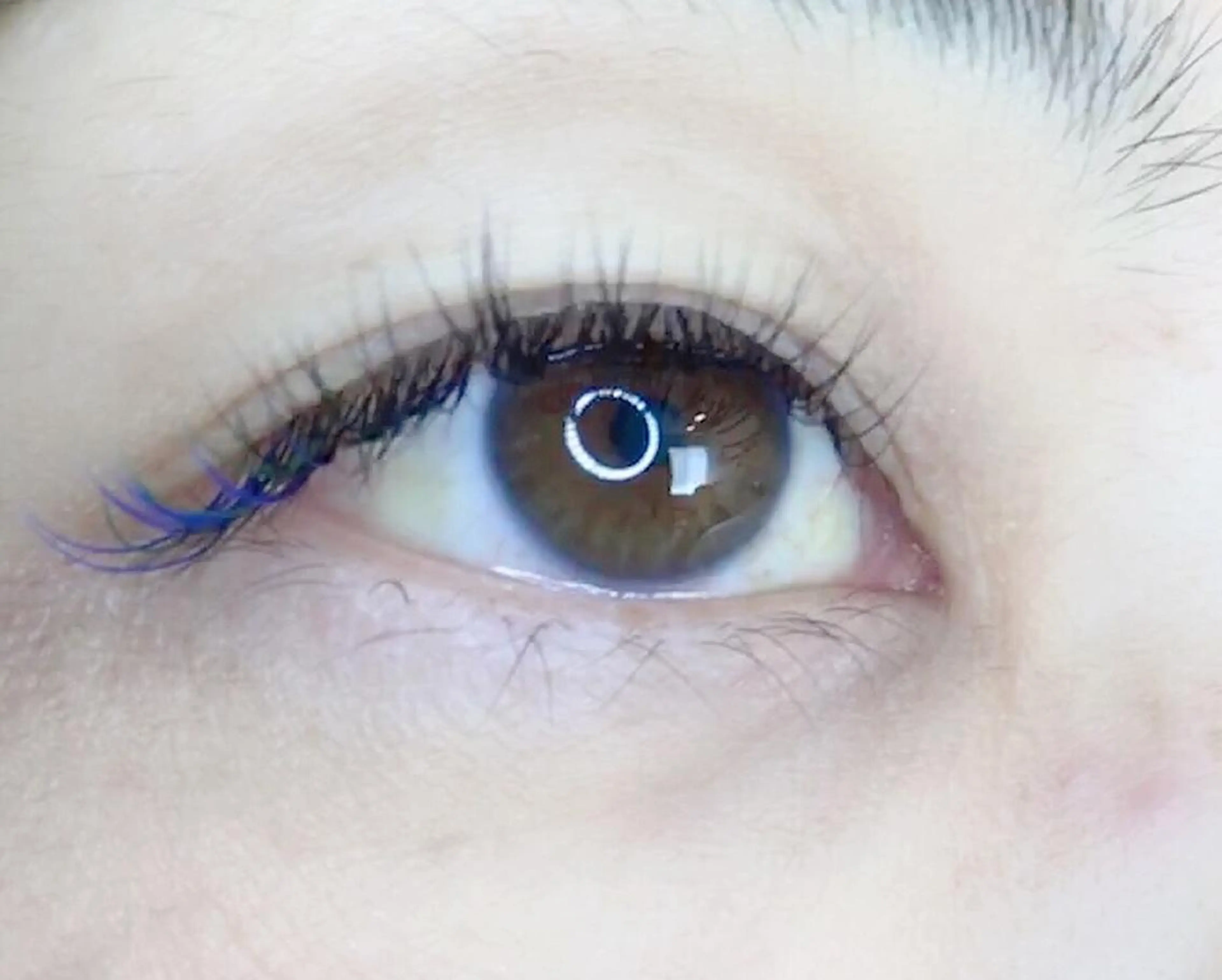 カラーエクステ100本オフなしの写真