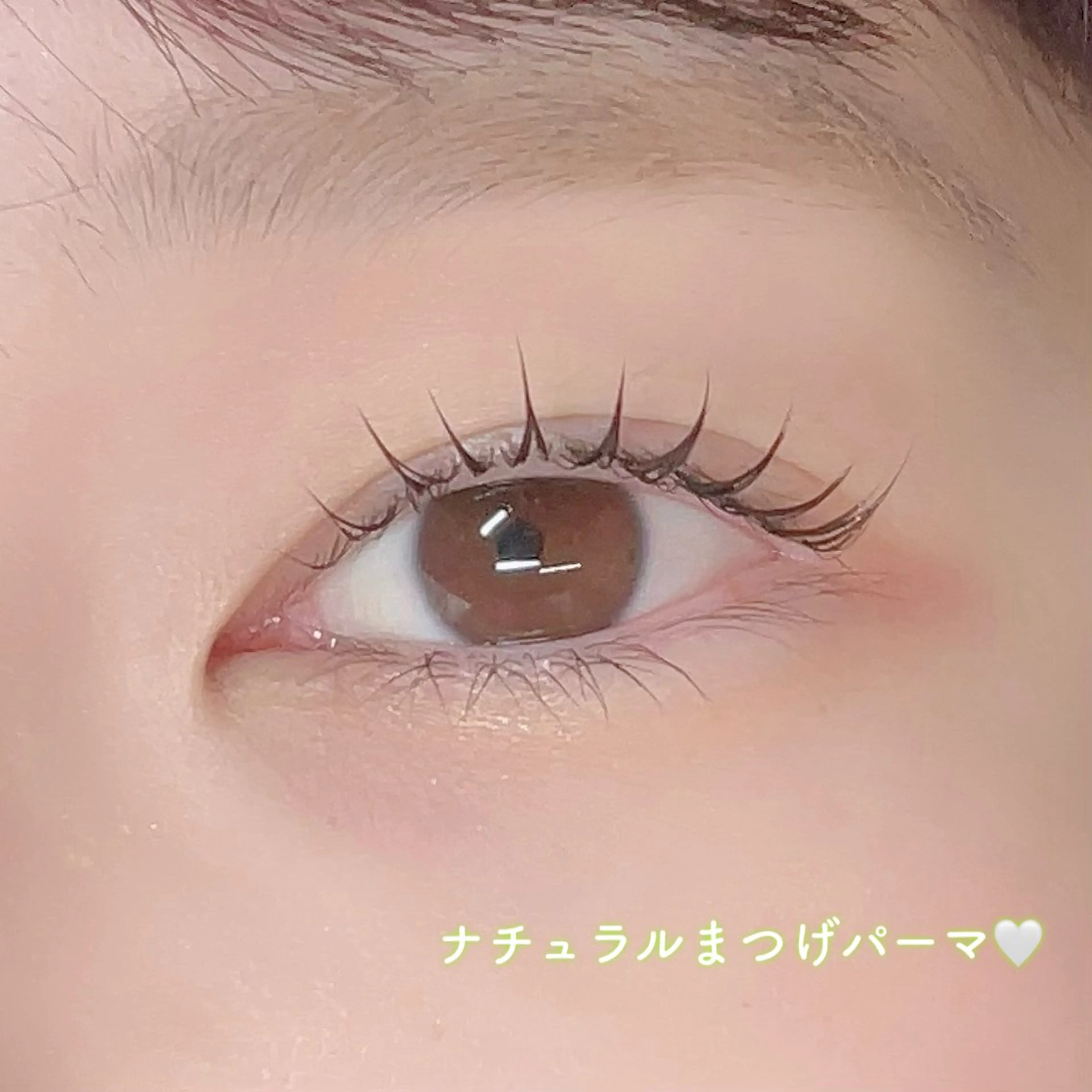 【セットでお得🉐】🌸まつげパーマ+アイブロウ🌸の写真