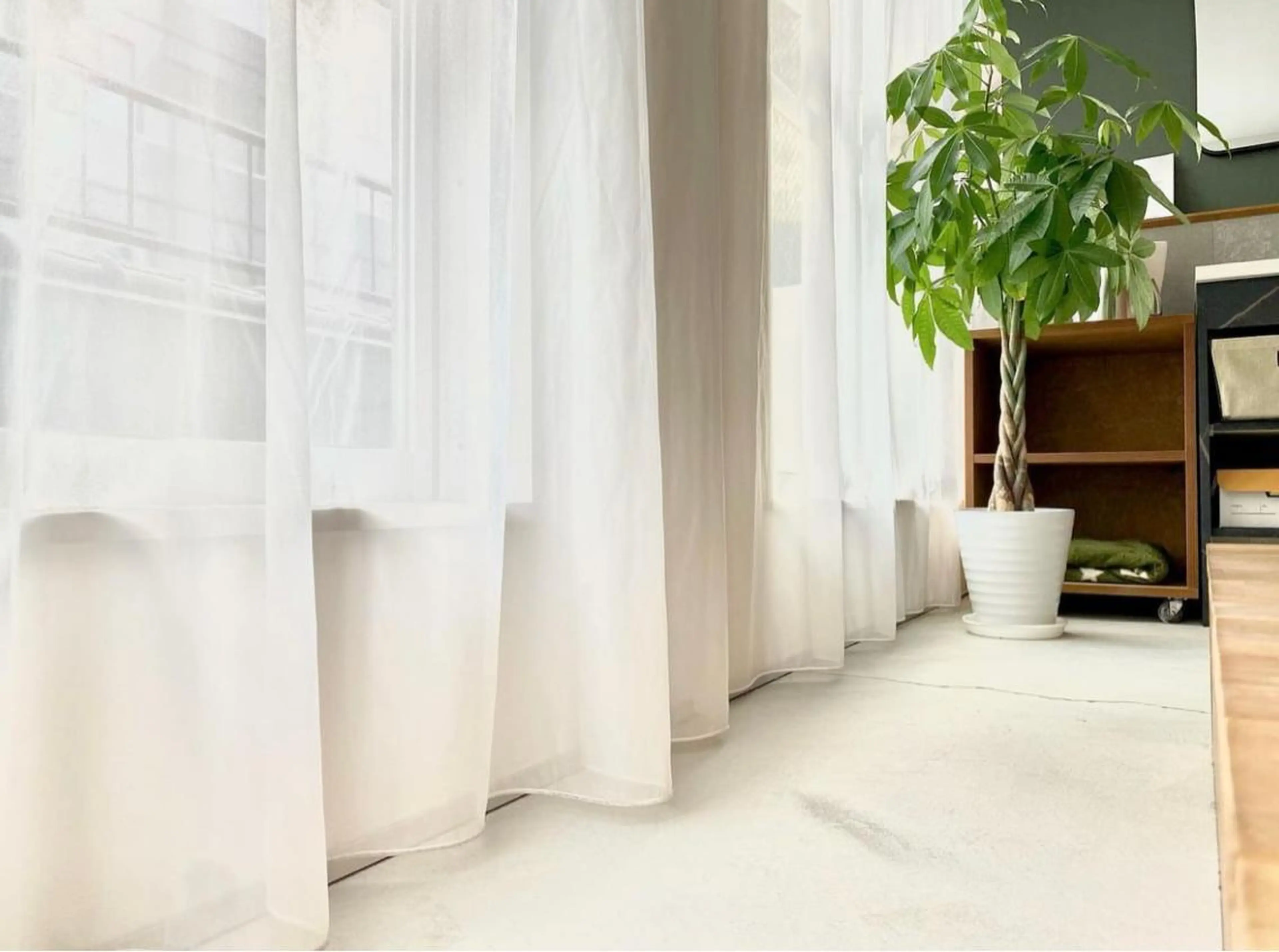 retreat リトリートのマツエク・マツパデザイン