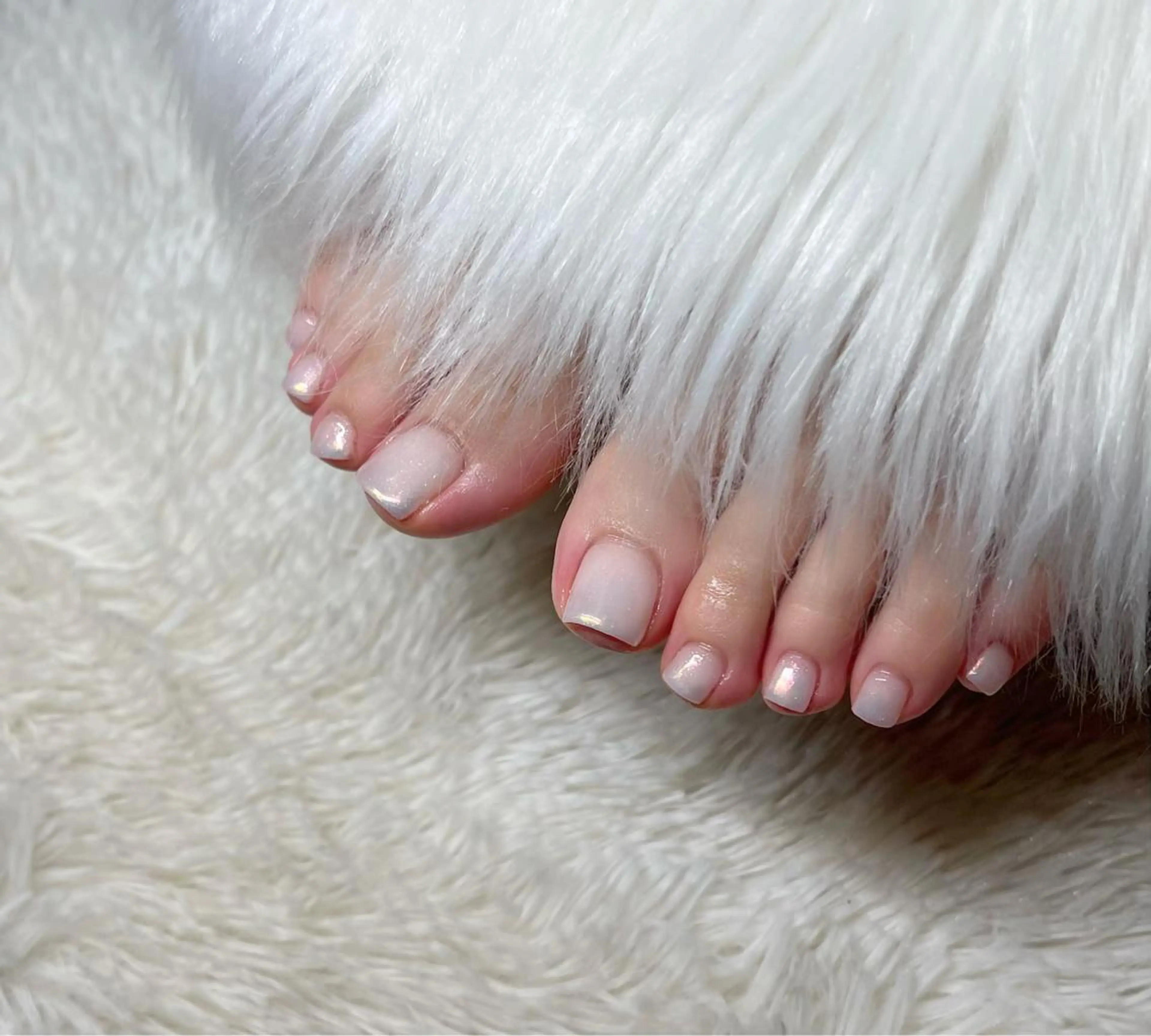 ネイル オーロラネイル グラデーション フットネイル Lino+ ネイル&よもぎ蒸しのネイルデザイン