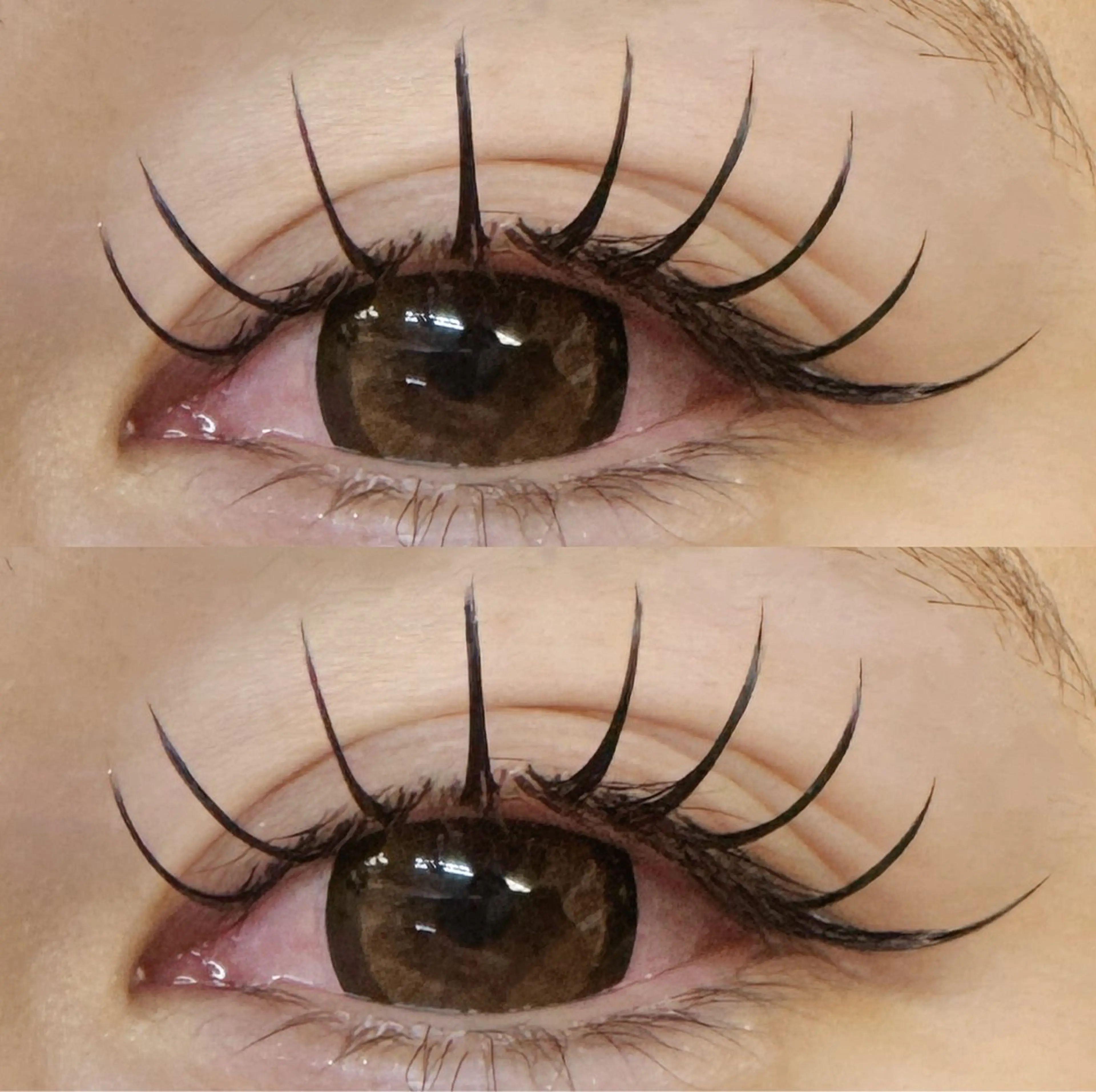 🫧フラットラッシュ１４０本の写真