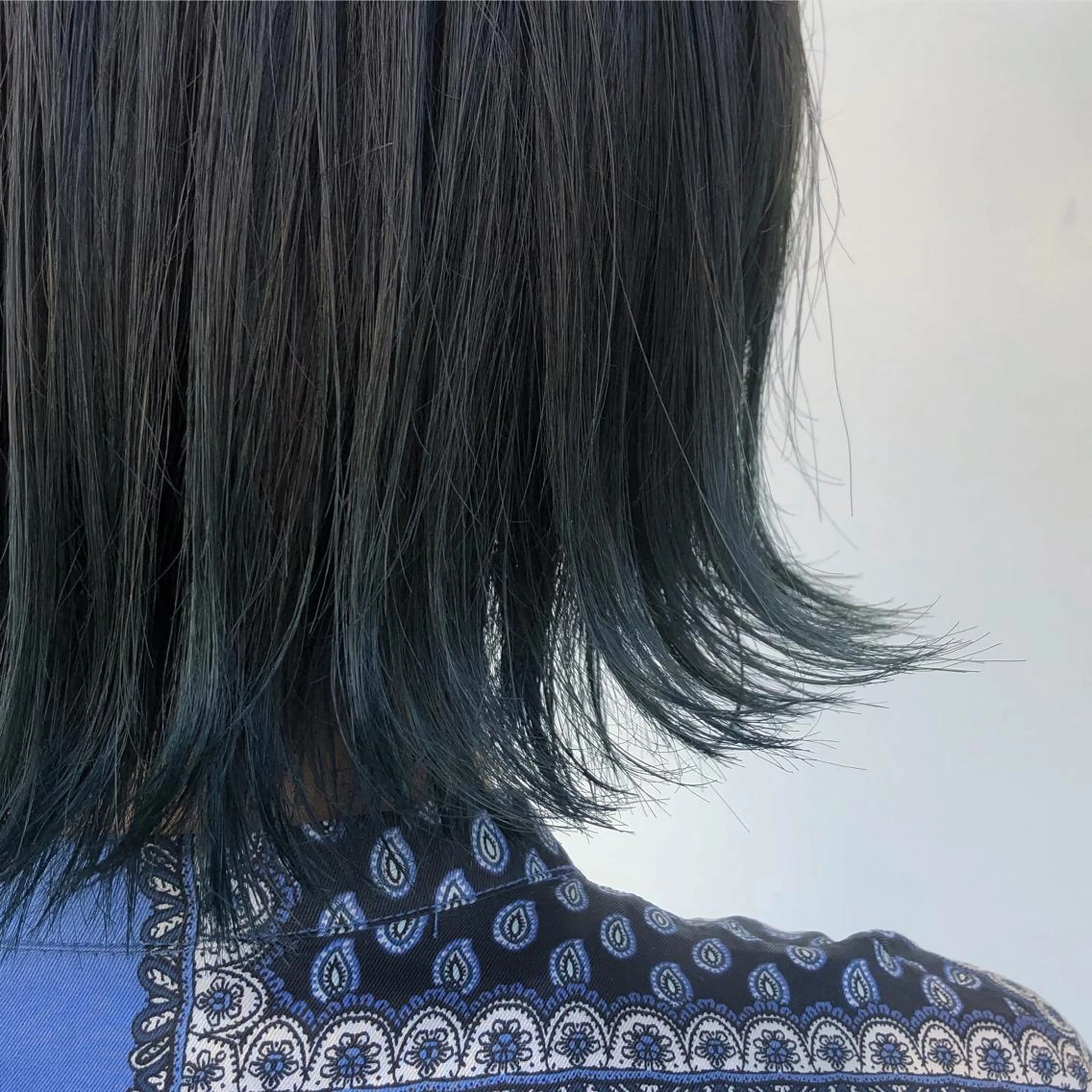 ショート カラー ブルーカラー デザインカラー カトウ ユウカのヘアスタイル
