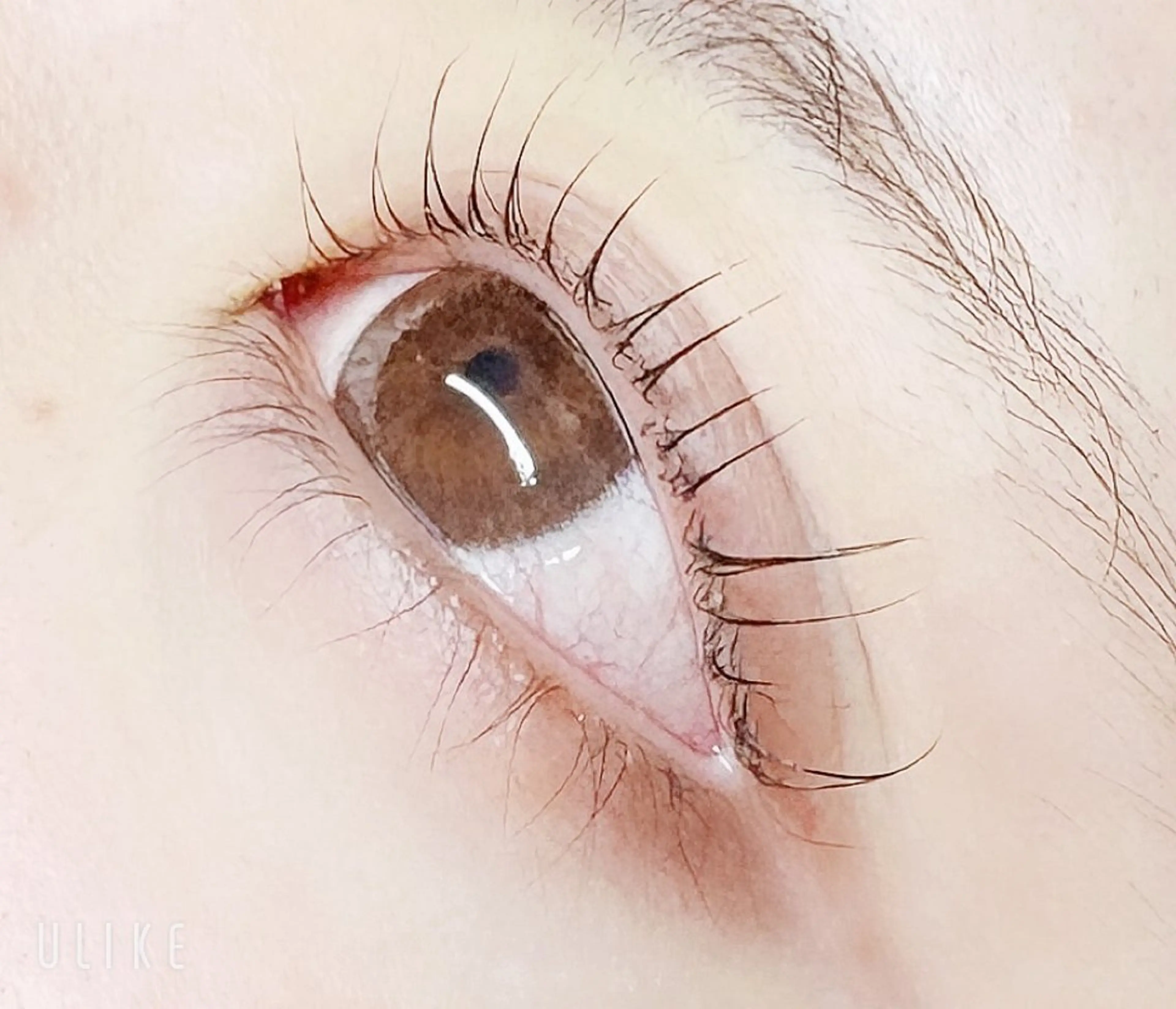 マツエク・マツパ 🐈⬛ Yukaのマツエク・マツパデザイン