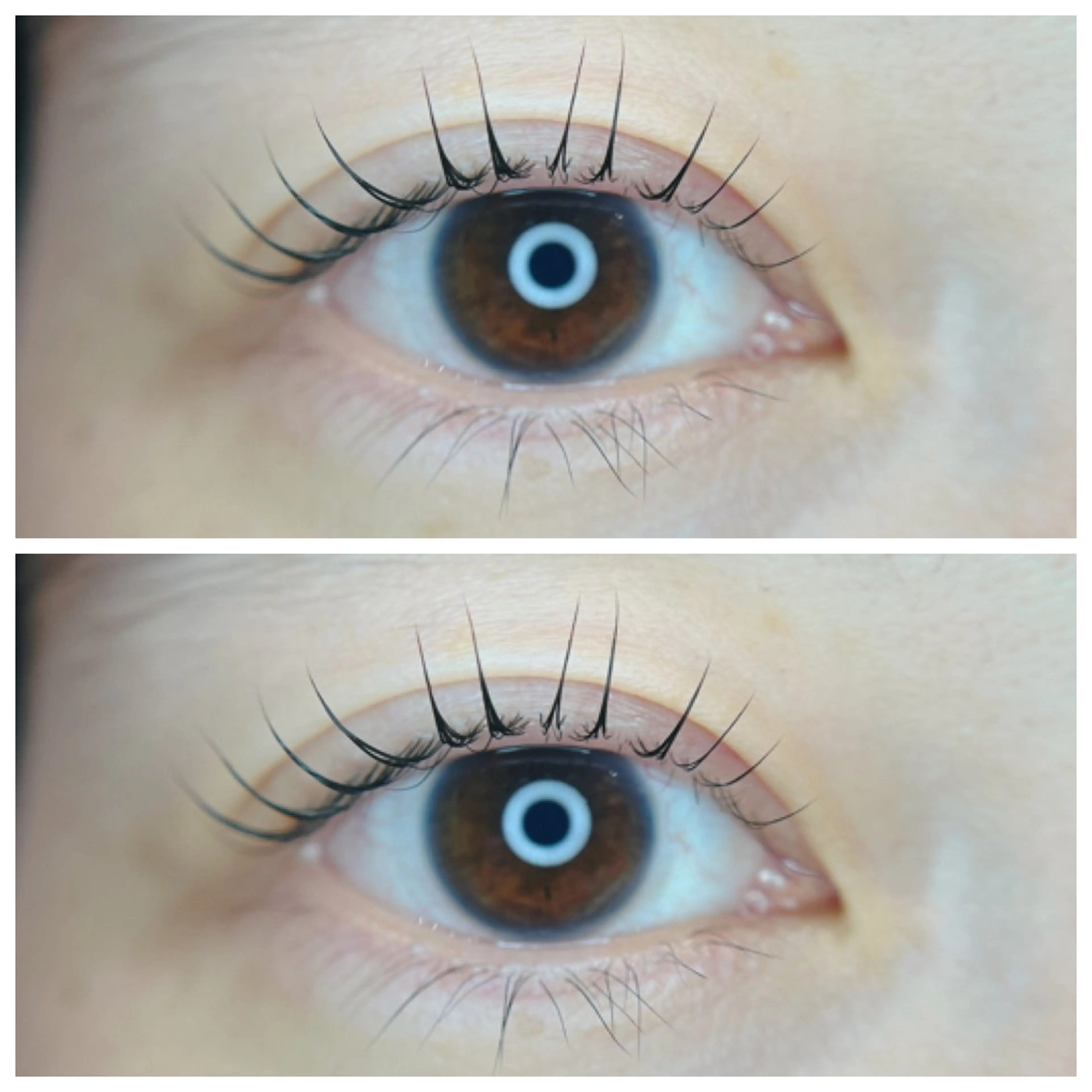 マツエク・マツパ 一重×まつ毛パーマ 【hisui】長尾 ゆかりのマツエク・マツパデザイン