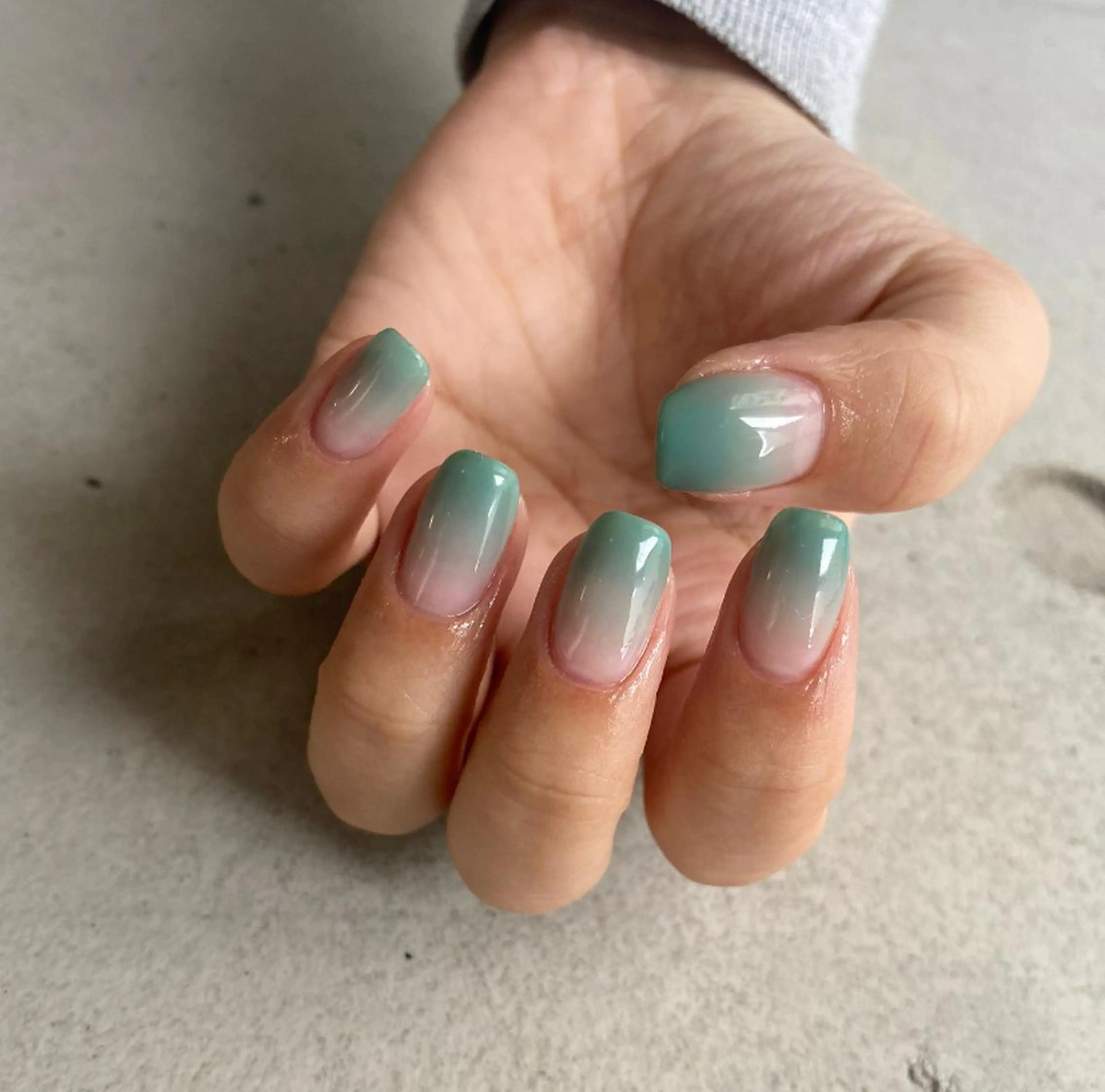 6月限定価格🍎gradation（オフ無料🥚）の写真