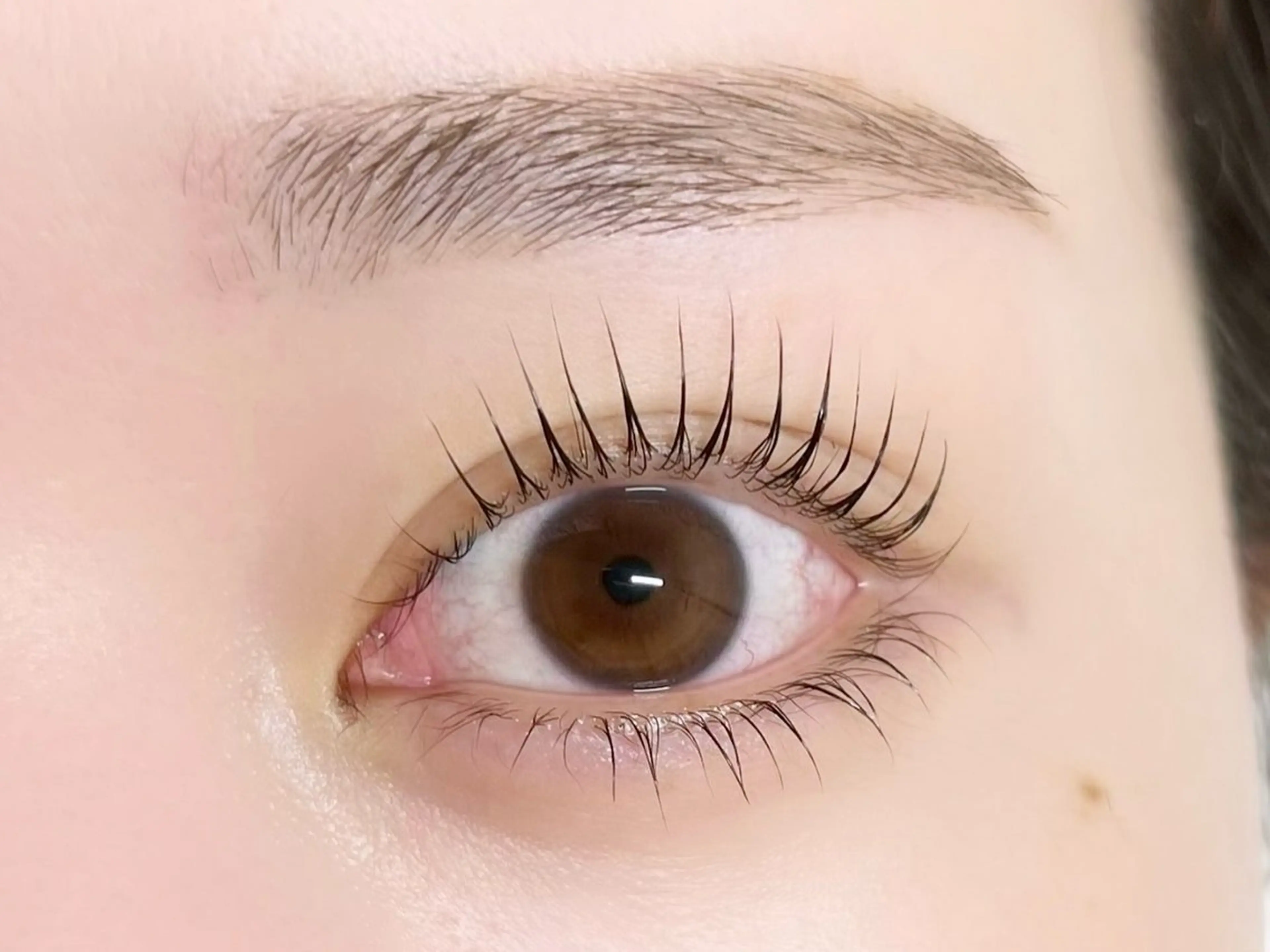 🍒《上下》まつ毛パーマorパリジェンヌ　Trコーティング付き🍒の写真