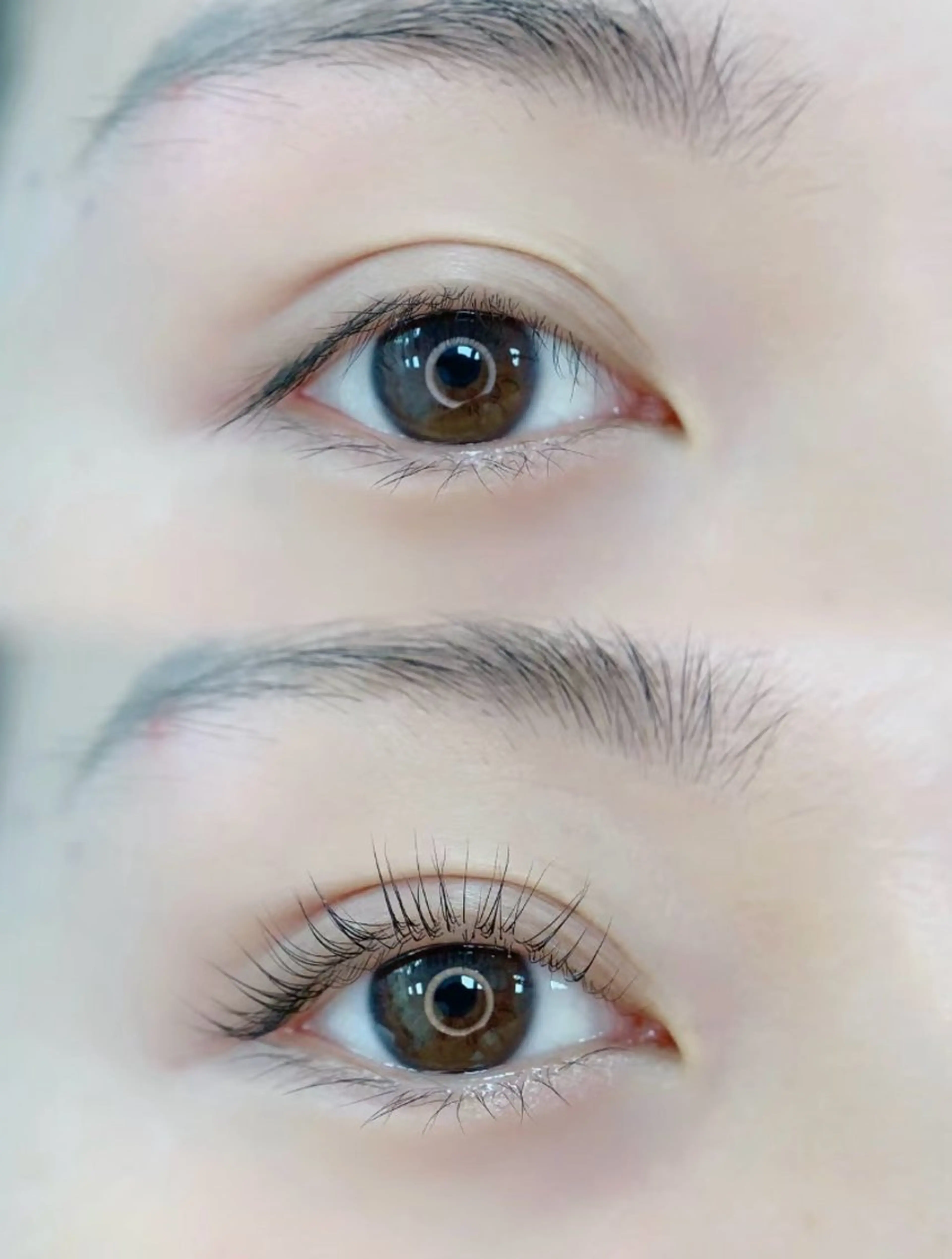 🌺フラットラッシュ100本(上のみ)いつでも3500円　アイシャンプー付きの写真