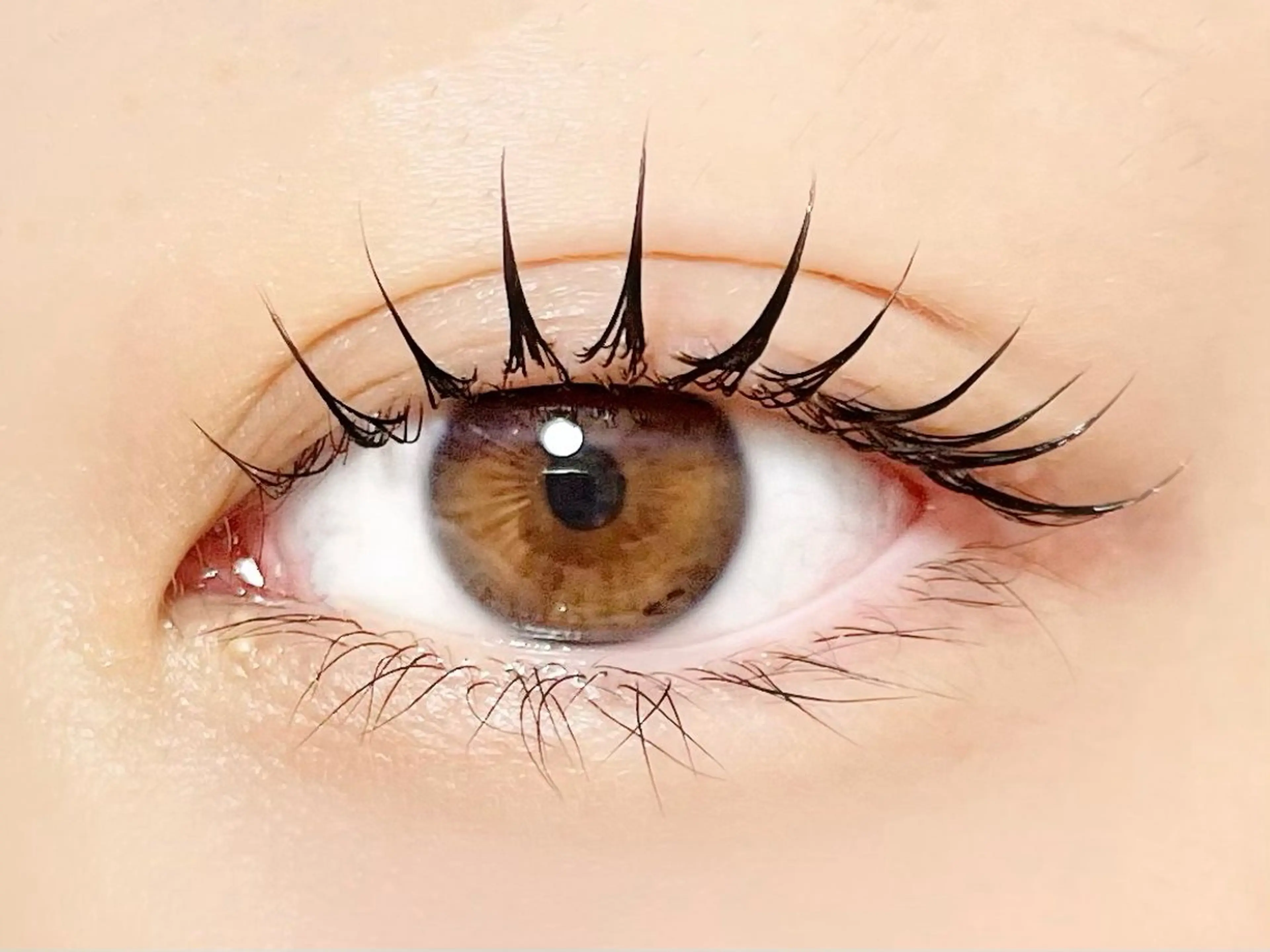 マツエク・マツパ マツパ eight eyelash池袋店のマツエク・マツパデザイン