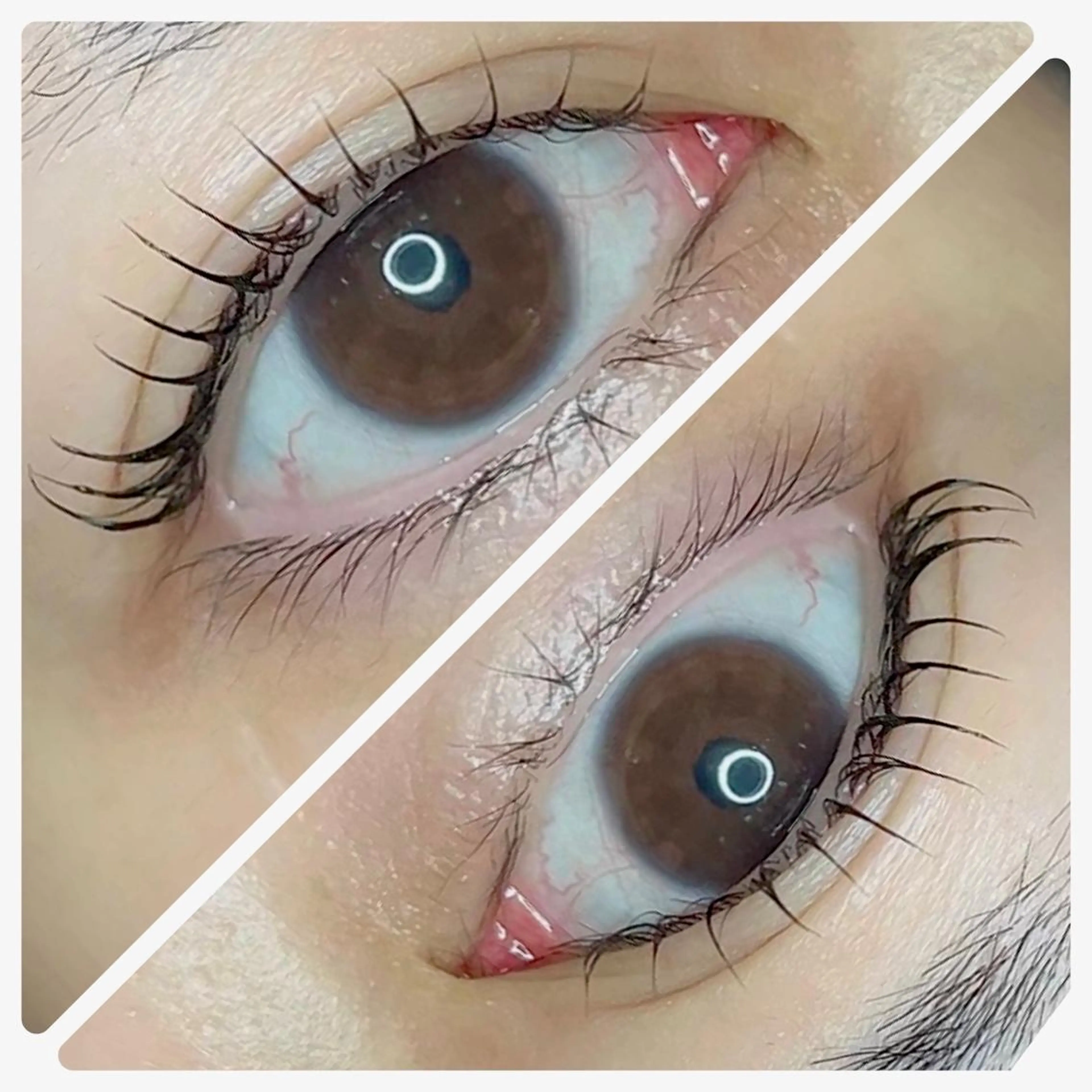 マツエク・マツパ メッサ•ラフィナート所属・MESSA Raffinatoのマツエク・マツパデザイン