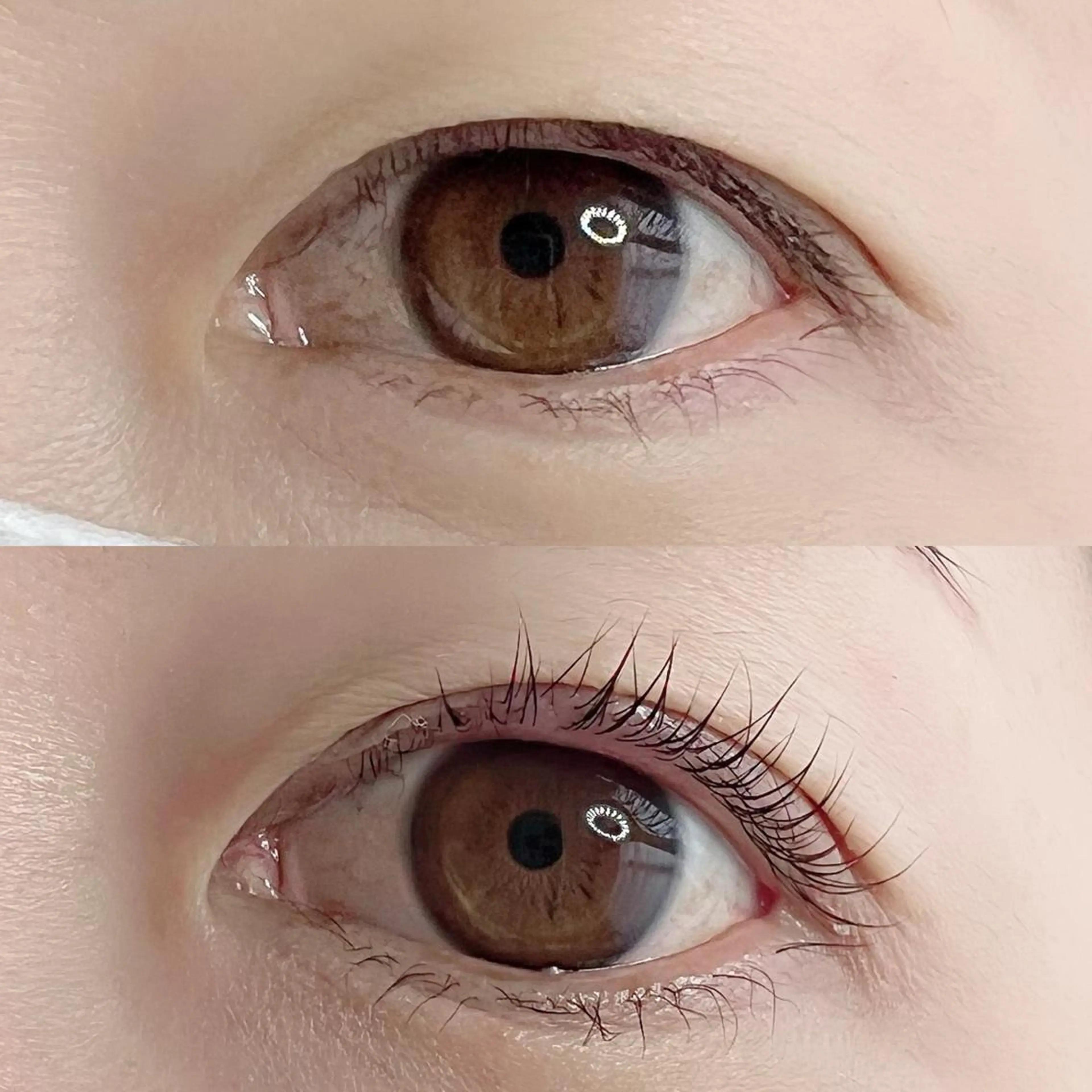 マツエク・マツパ chou chou シュシュのマツエク・マツパデザイン