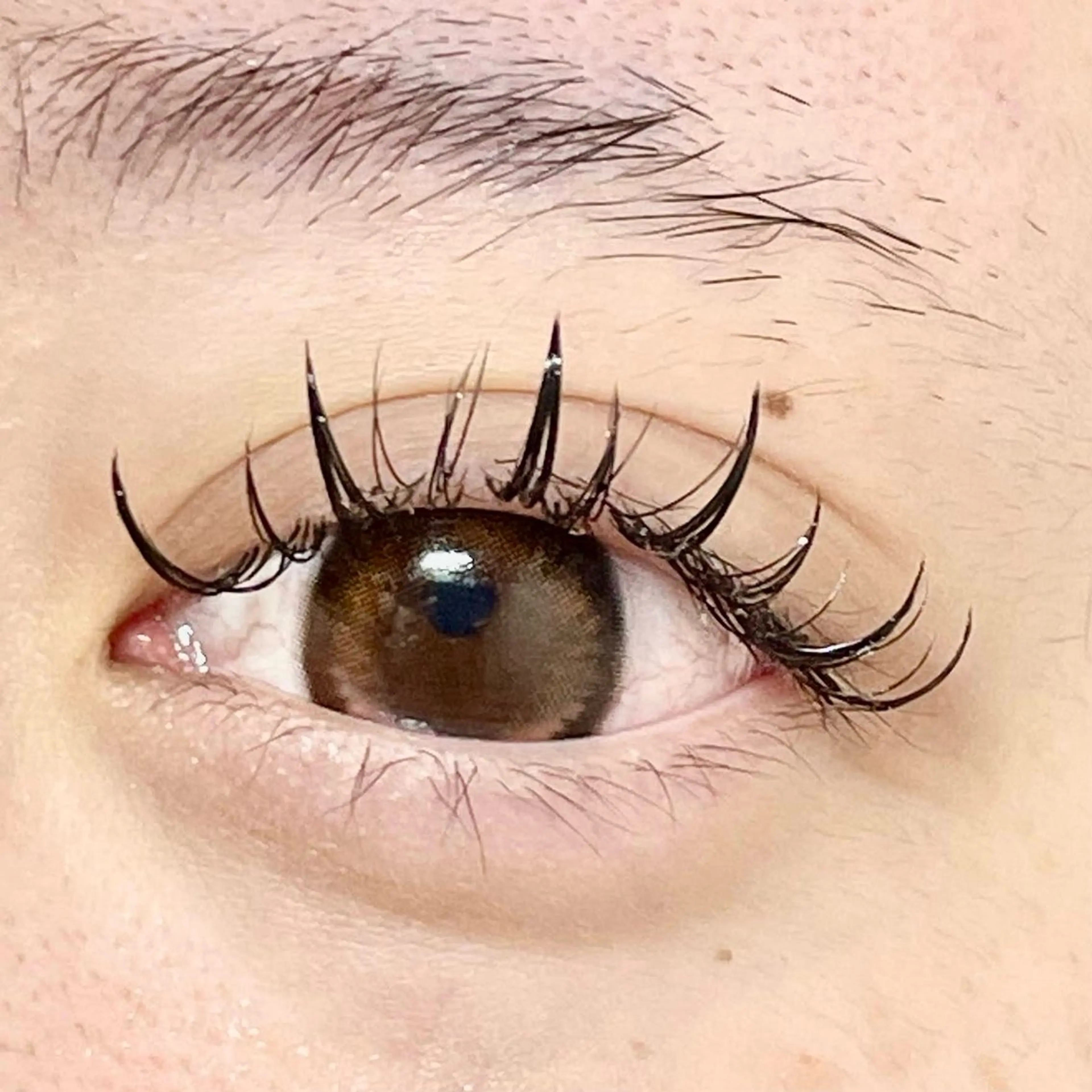 マツエク・マツパ ワンホンマツエク NANA Milano所属・yuuka Fのマツエク・マツパデザイン