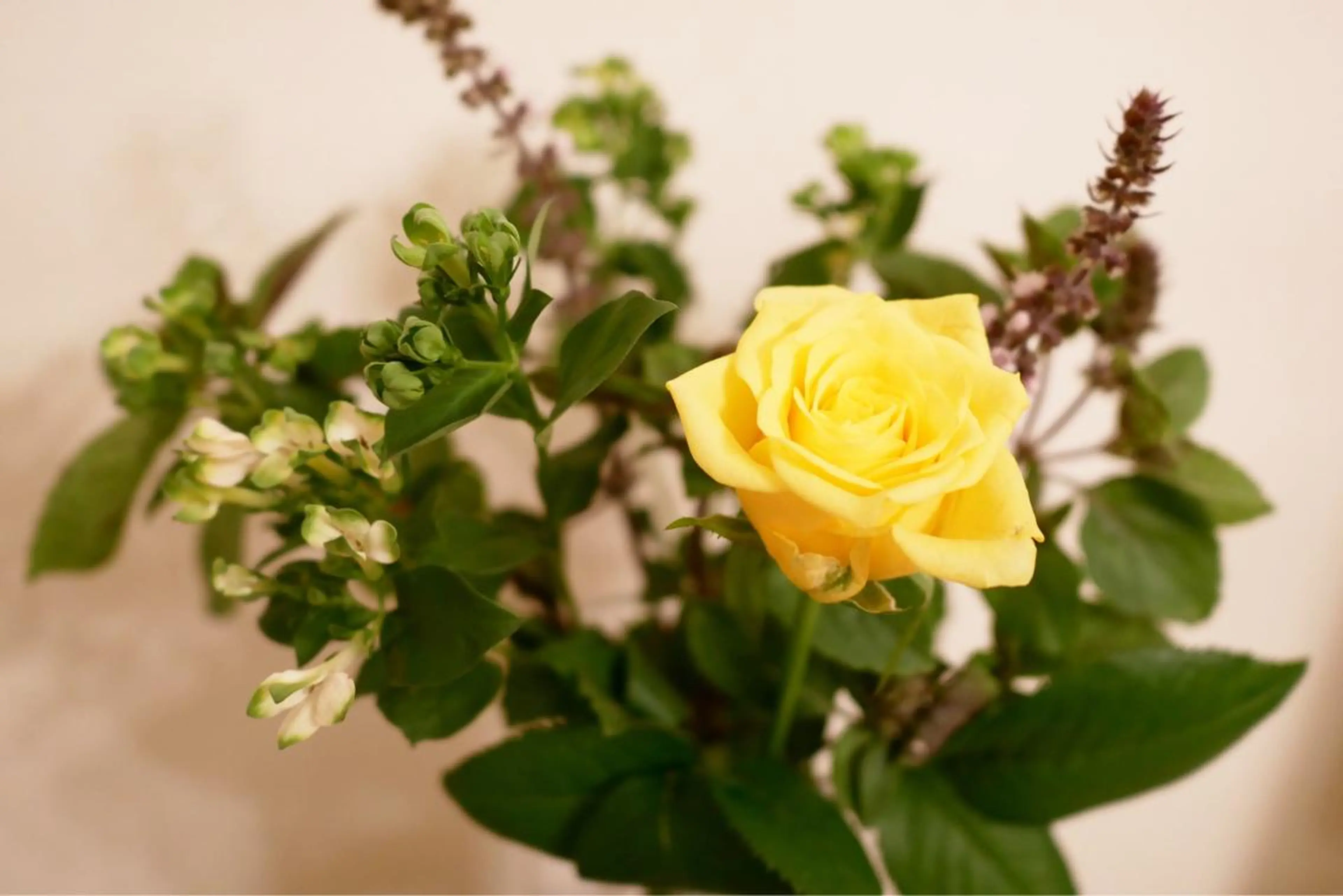 セミロング カラー パーマ ネイル マツエク・マツパ ニキビ跡専門サロン Ａｉｎａのエステ・リラクイメージ