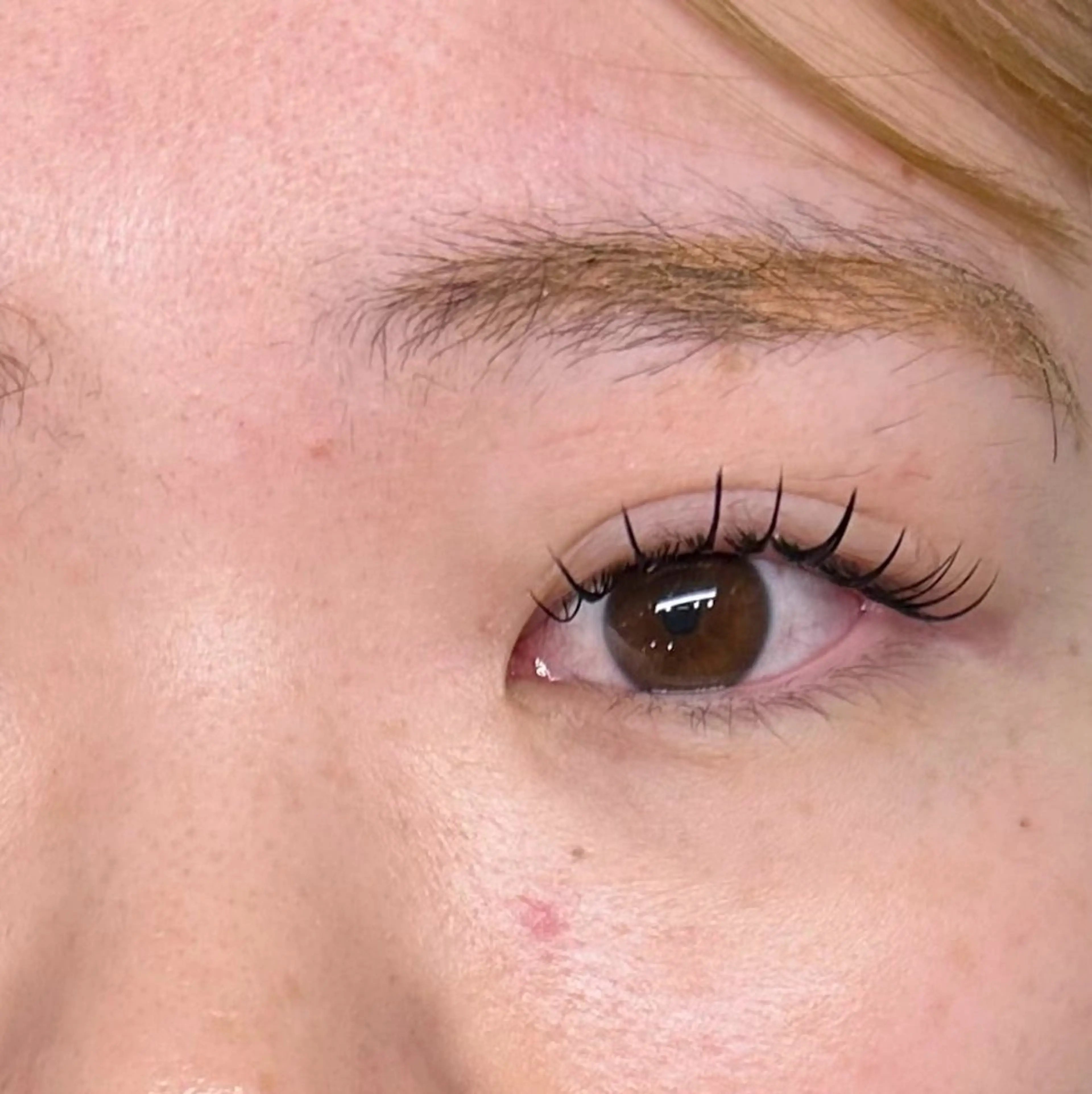 マツエク・マツパ LUANA KAWAHATAの眉毛・アイブロウイメージ