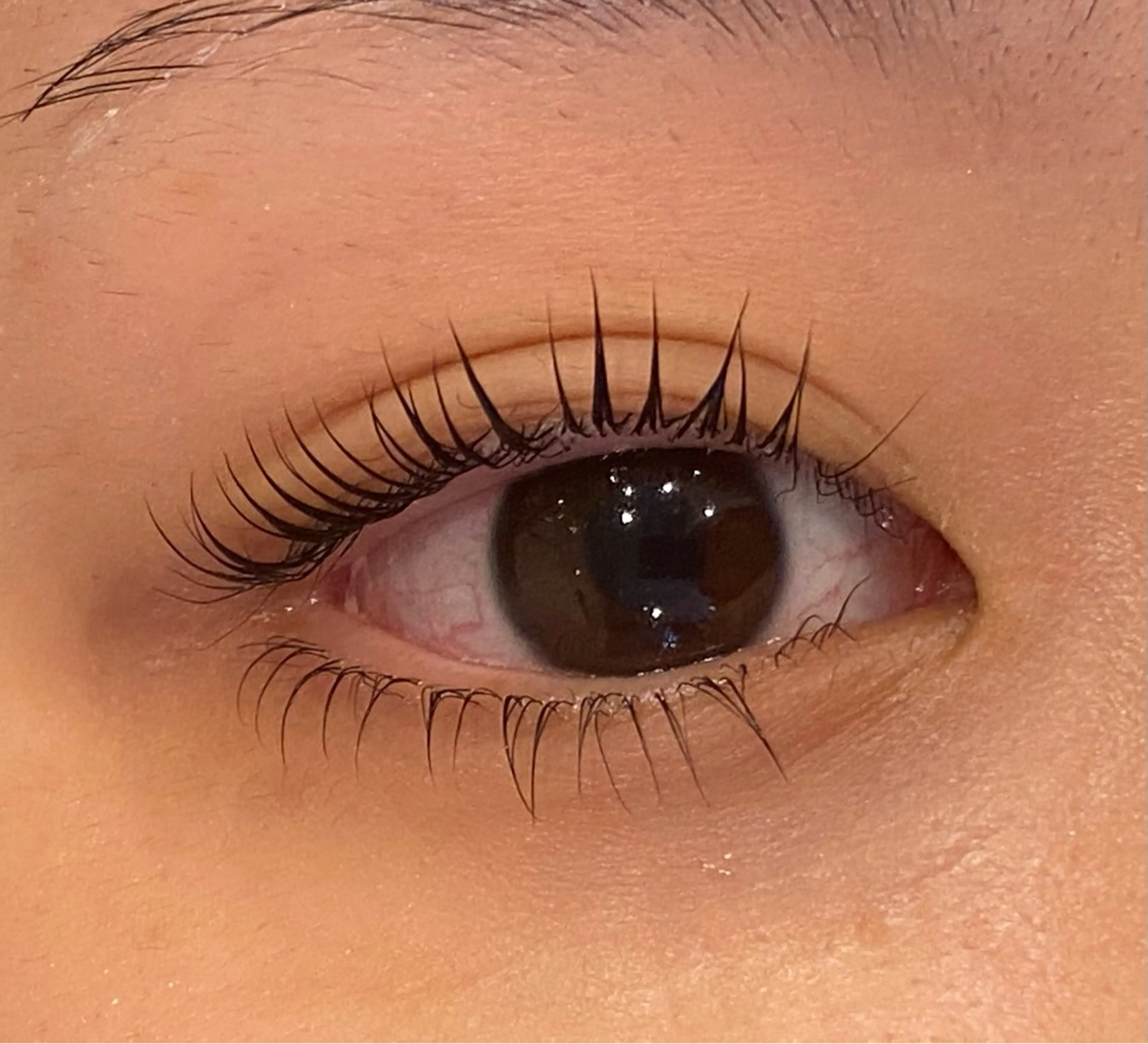 マツエク・マツパ Daisy lash 京橋店堀井のマツエク・マツパデザイン