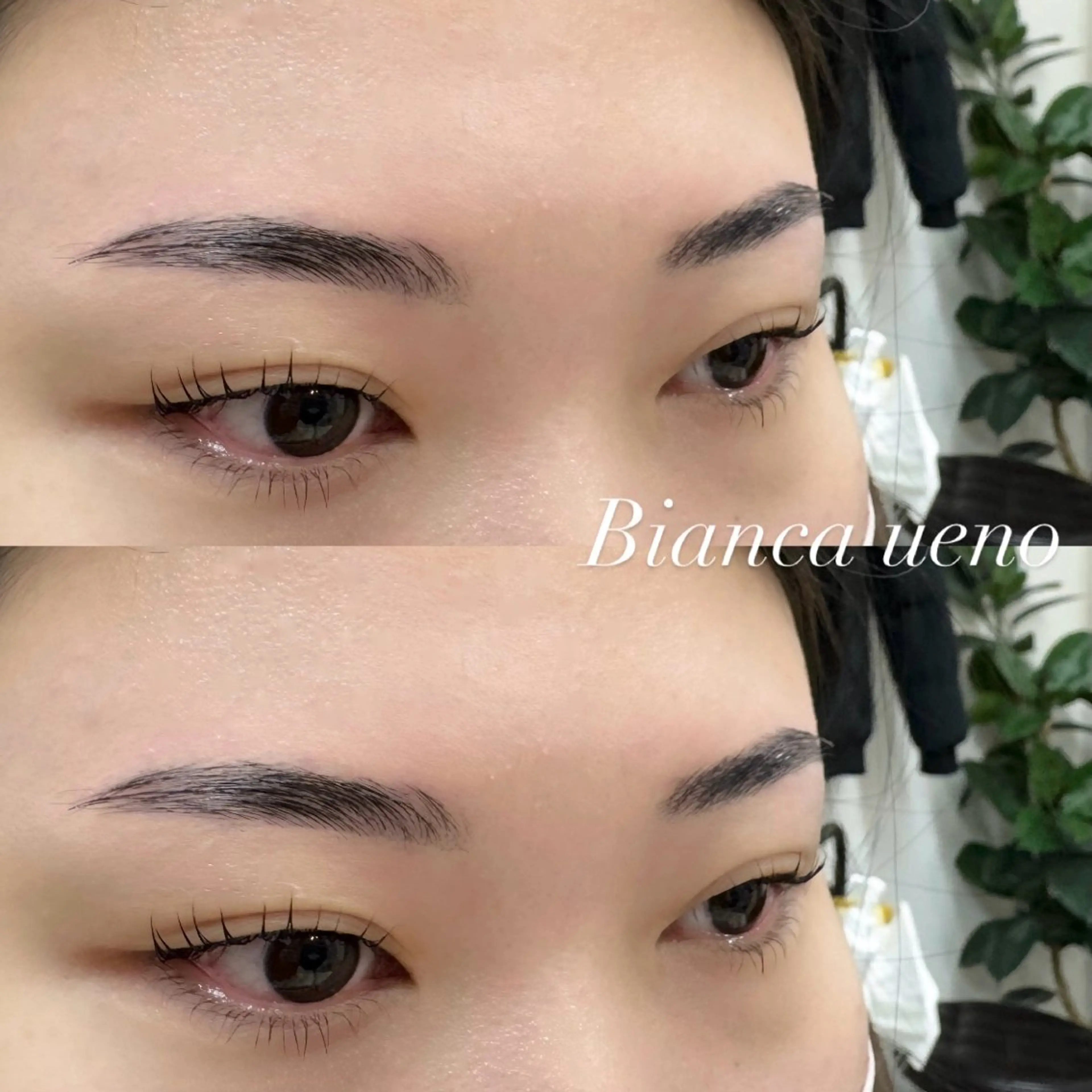 アイブロウ 🫧bianca ARAI🫧のマツエク・マツパデザイン