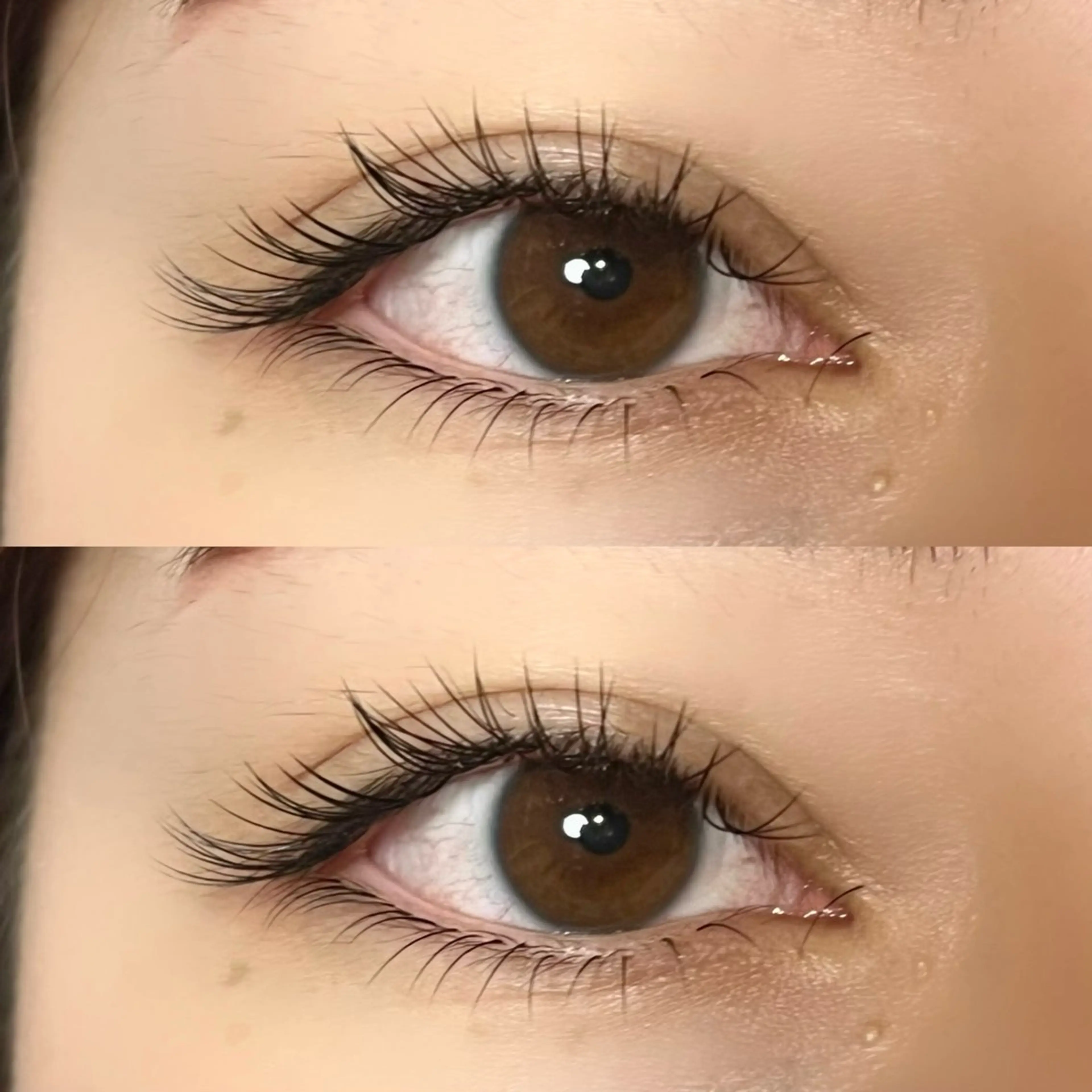 マツエク・マツパ Cカール Jカール 下まつげエクステ マツエク Stella 岩﨑のマツエク・マツパデザイン