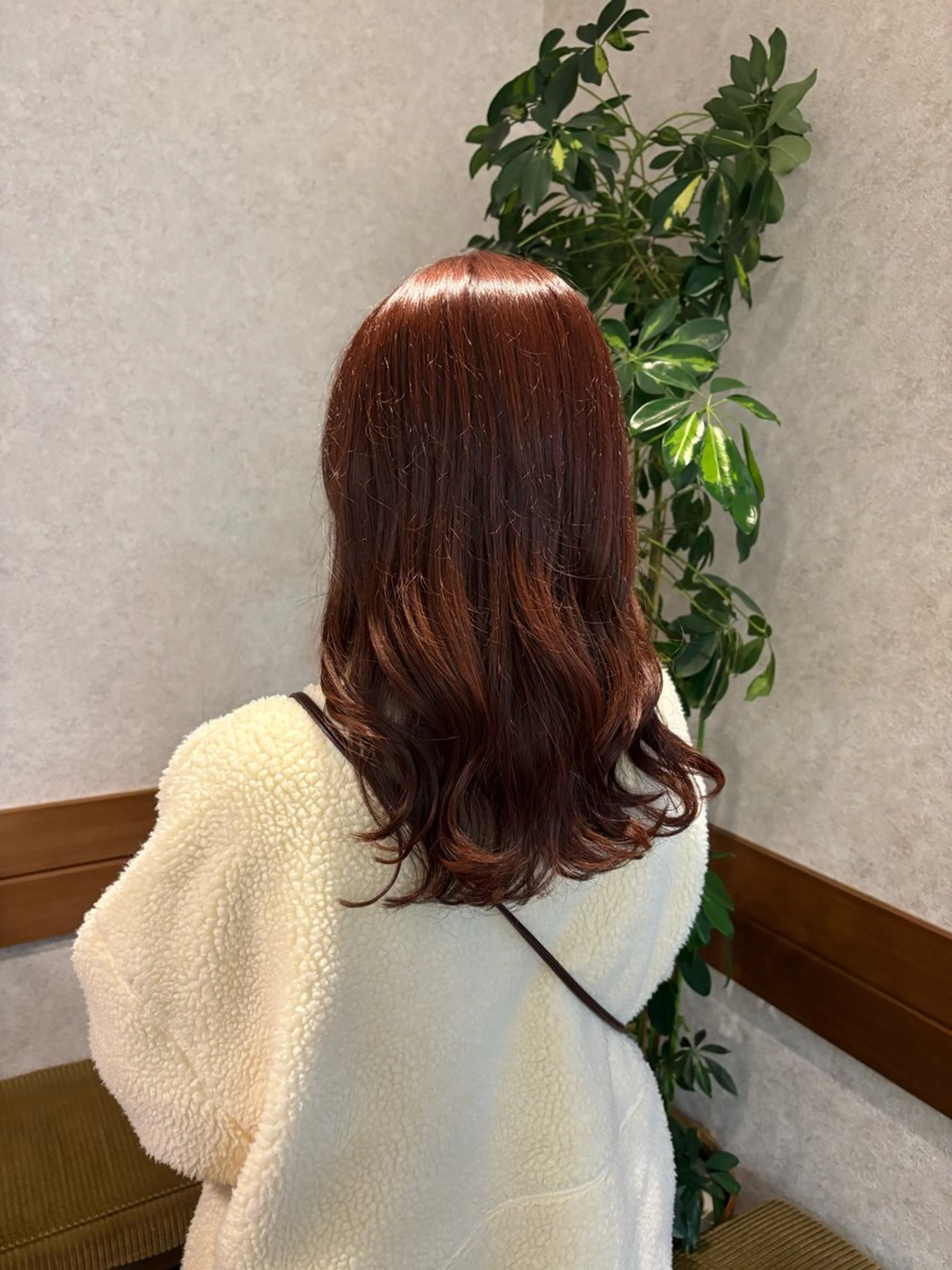 ワンカラー〖平日14時以降限定〗の写真