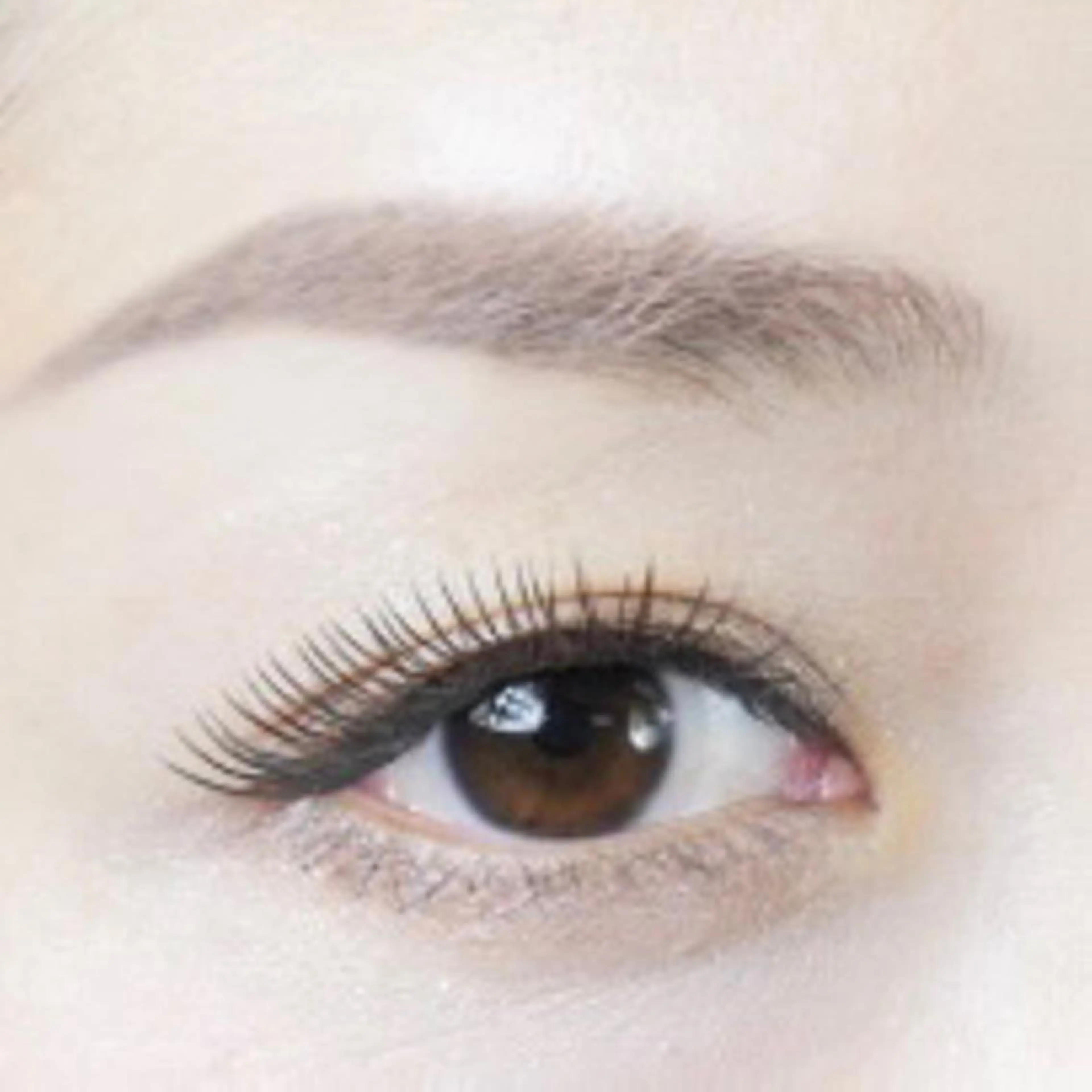 マツエク・マツパ マツエク oyat ..の眉毛・アイブロウイメージ