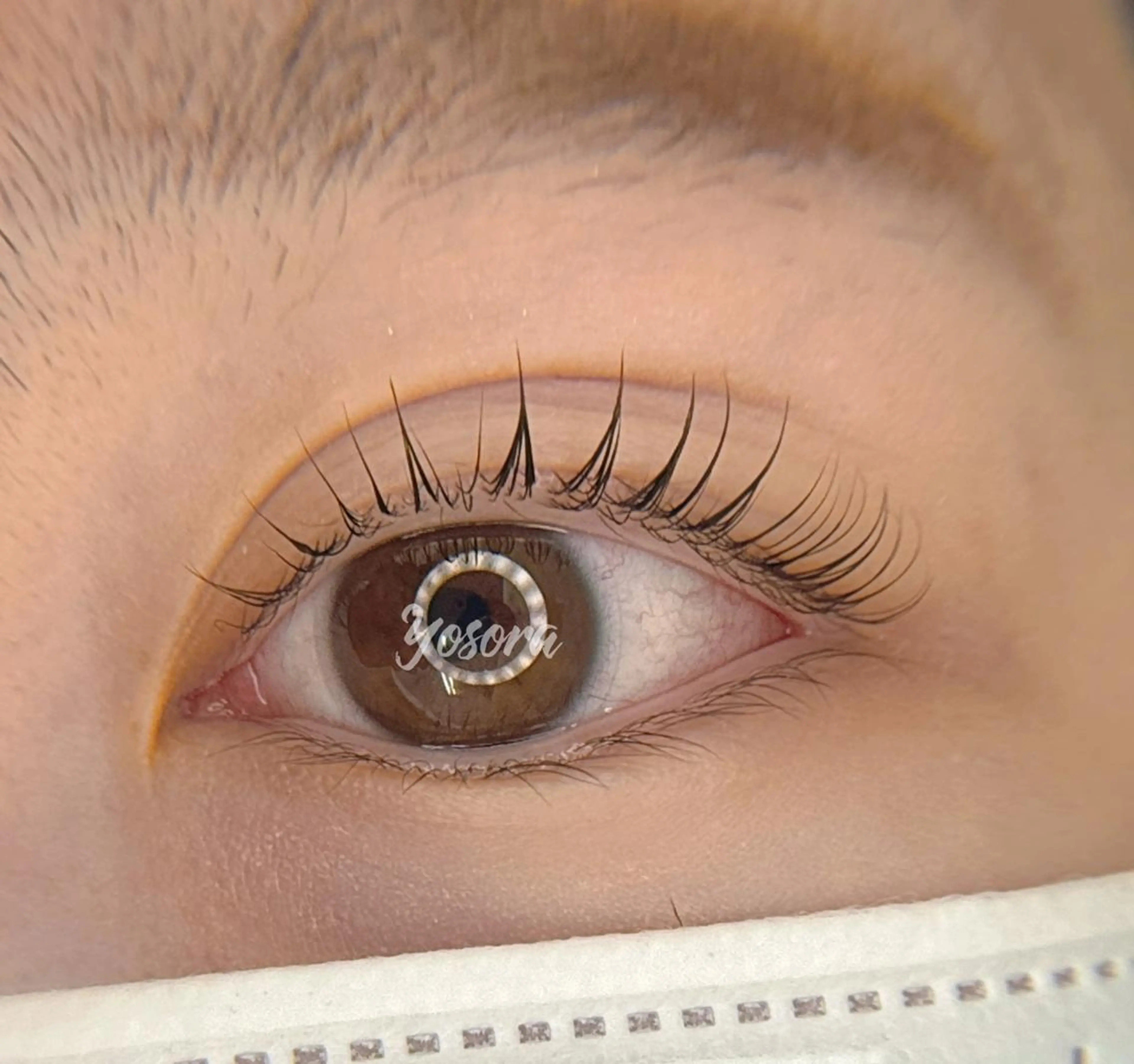 マツエク・マツパ 一重×まつ毛パーマ マツパ Yosora salonのマツエク・マツパデザイン