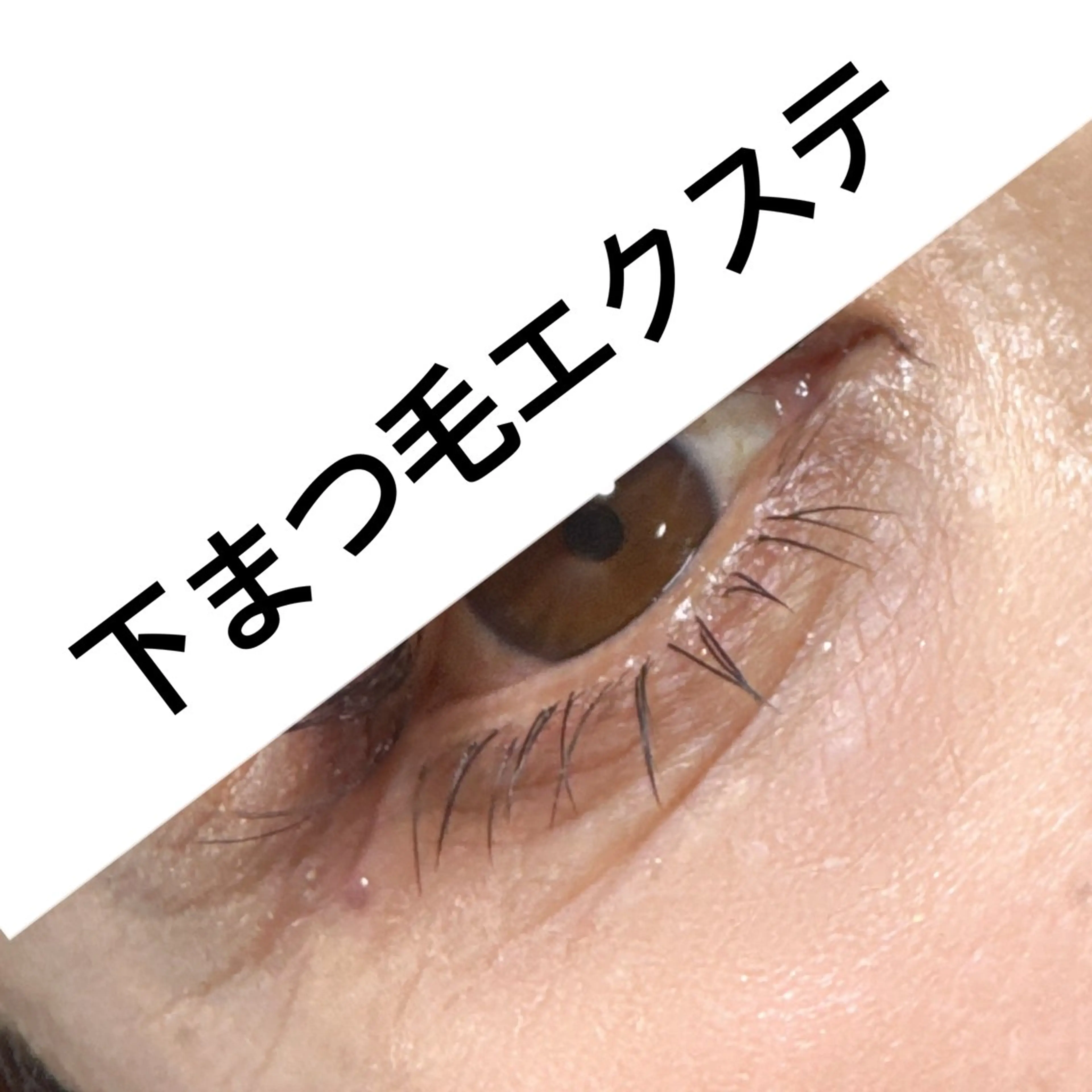 マツエク・マツパ 下まつげエクステ Li-Fra YOKOのマツエク・マツパデザイン