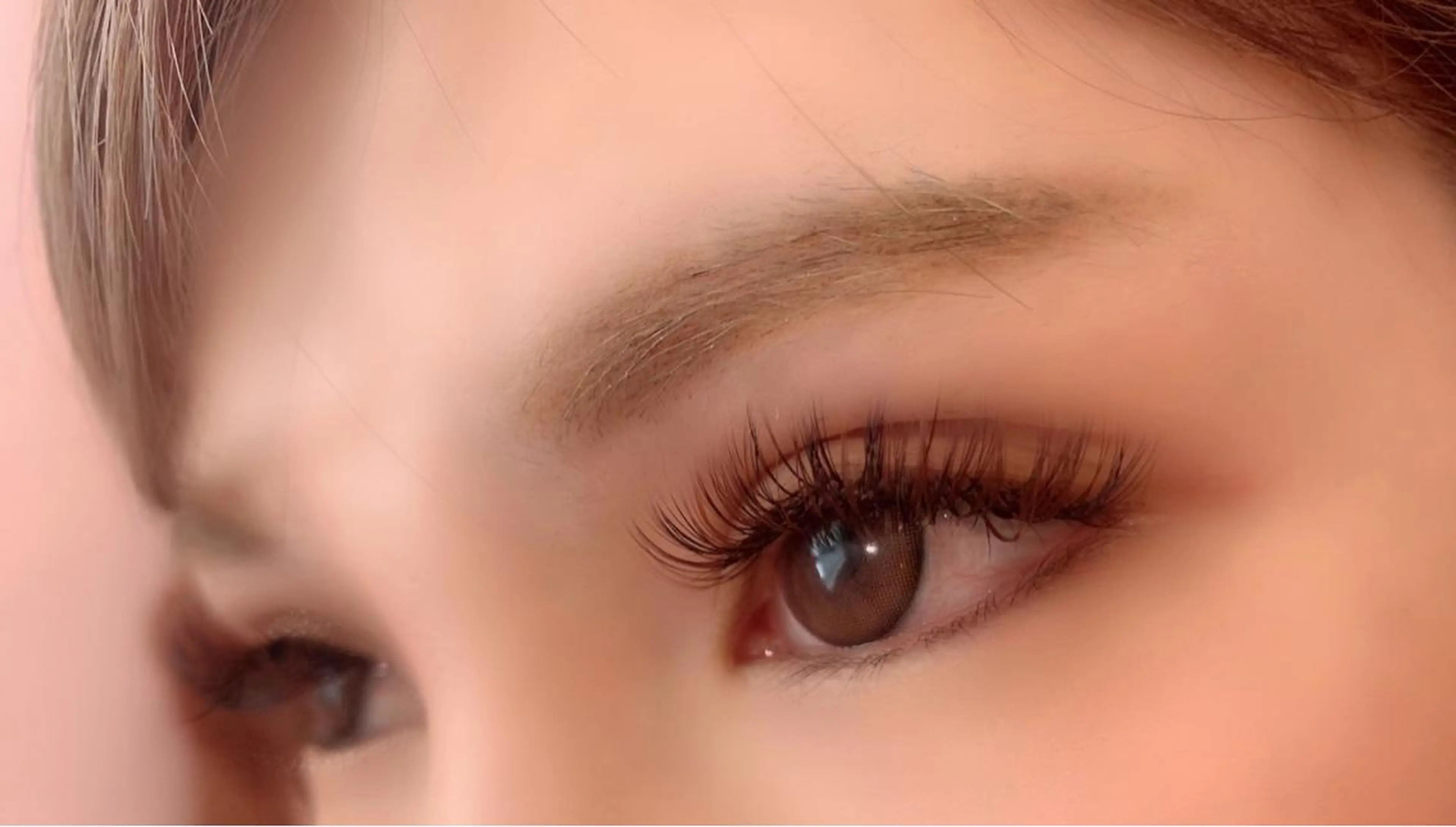 ใใใจใฏใปใใใ ใใใจใฏ ๐๐๐๐๐ ๐๐๐๐ใฎใใใจใฏใปใใใใใถใคใณ