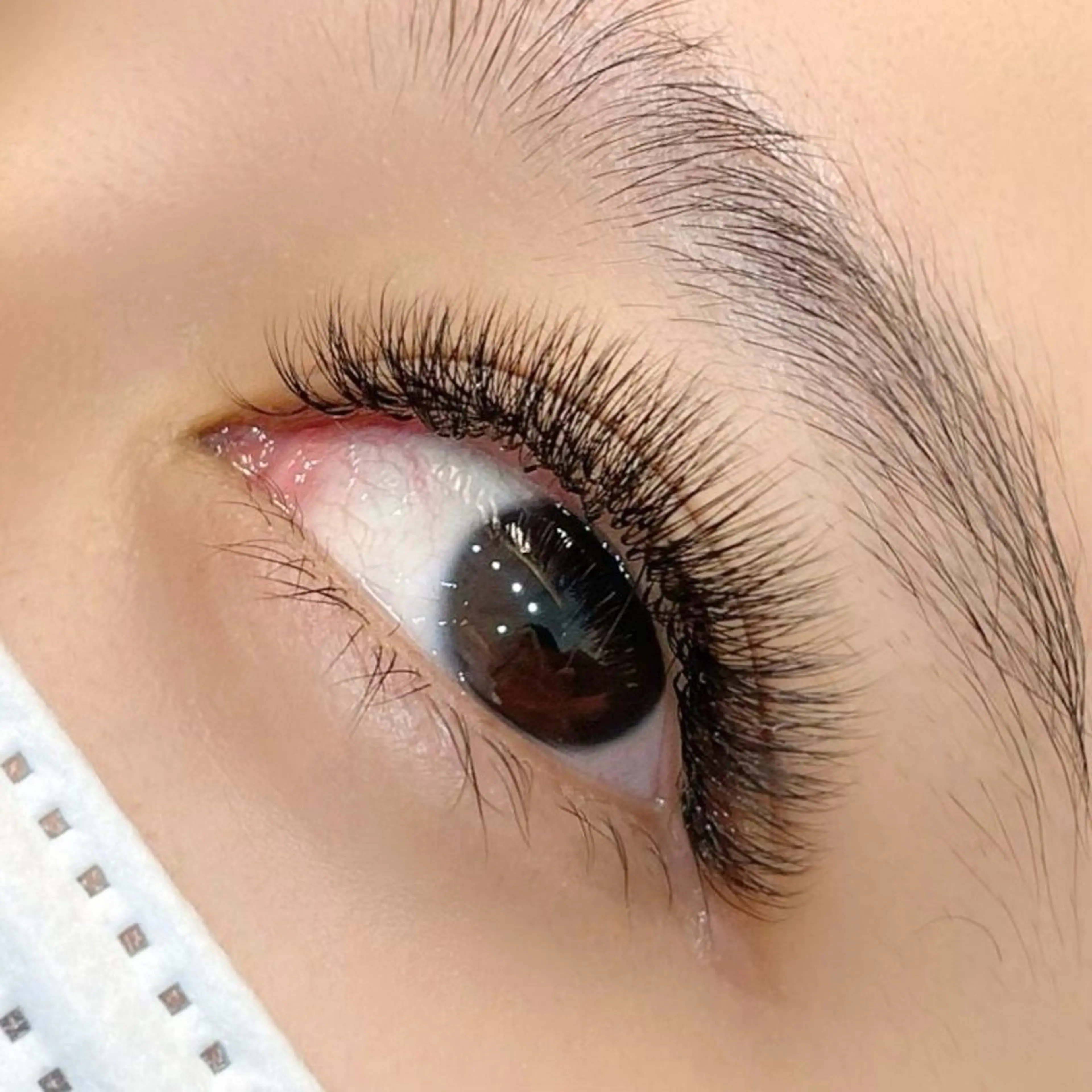 【3Dボリュームラッシュ120束】オフ無料💫 アイパック、アイシャンプー、コーティング付き✨の写真