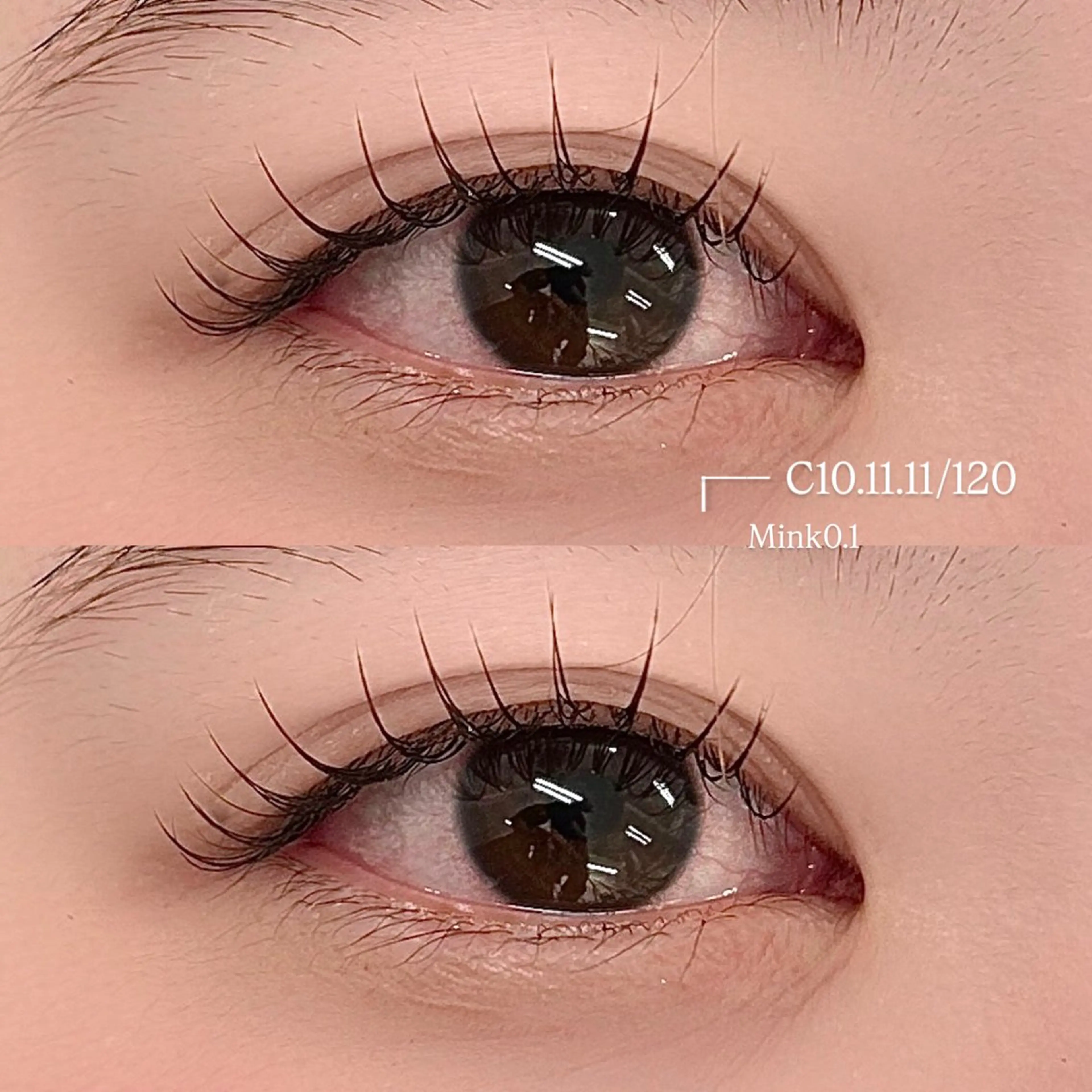 マツエク・マツパ Alice by jewel所属・Alice ことのマツエク・マツパデザイン