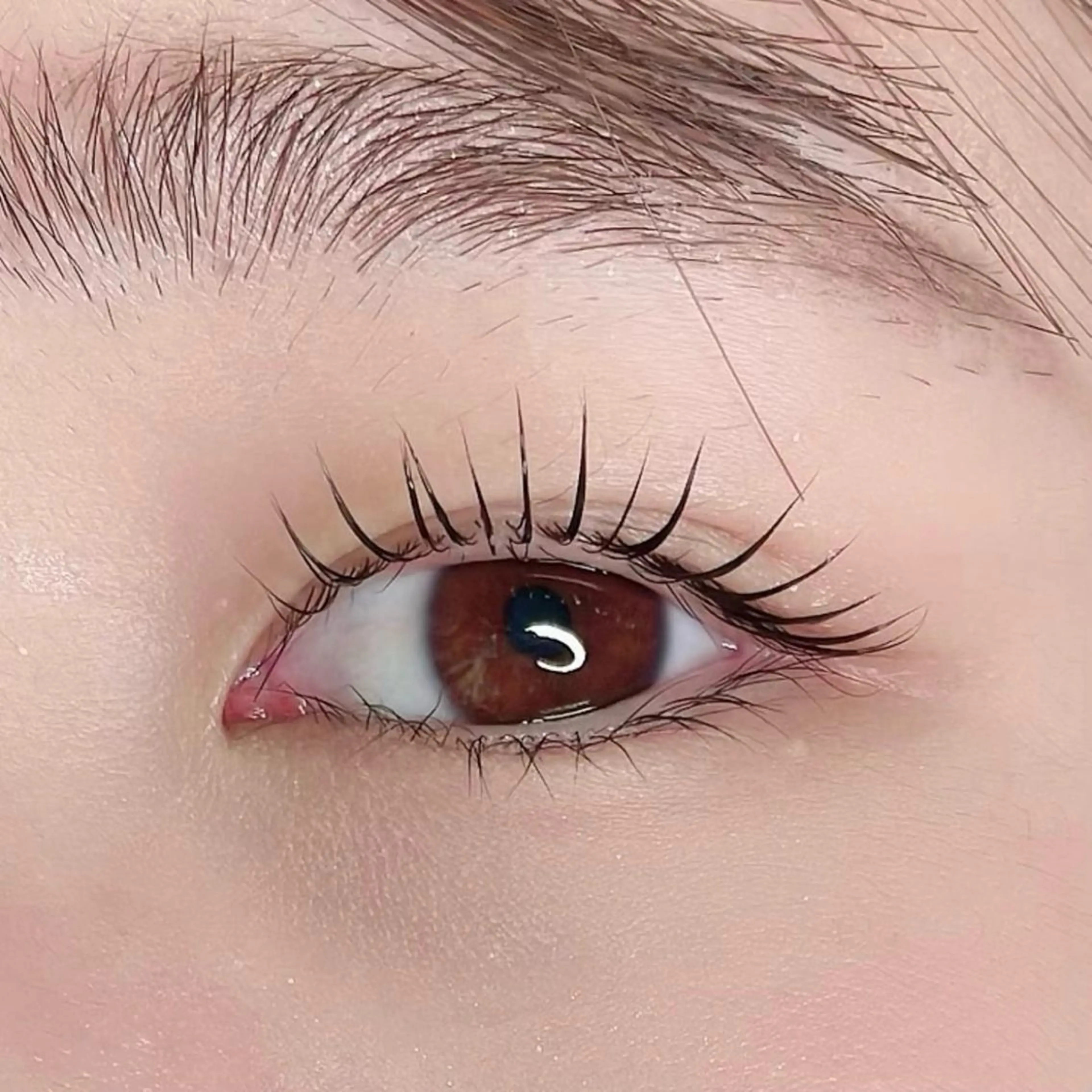 【Jrアイリスト担当】MIGNONラッシュリフト ￥3,980の写真