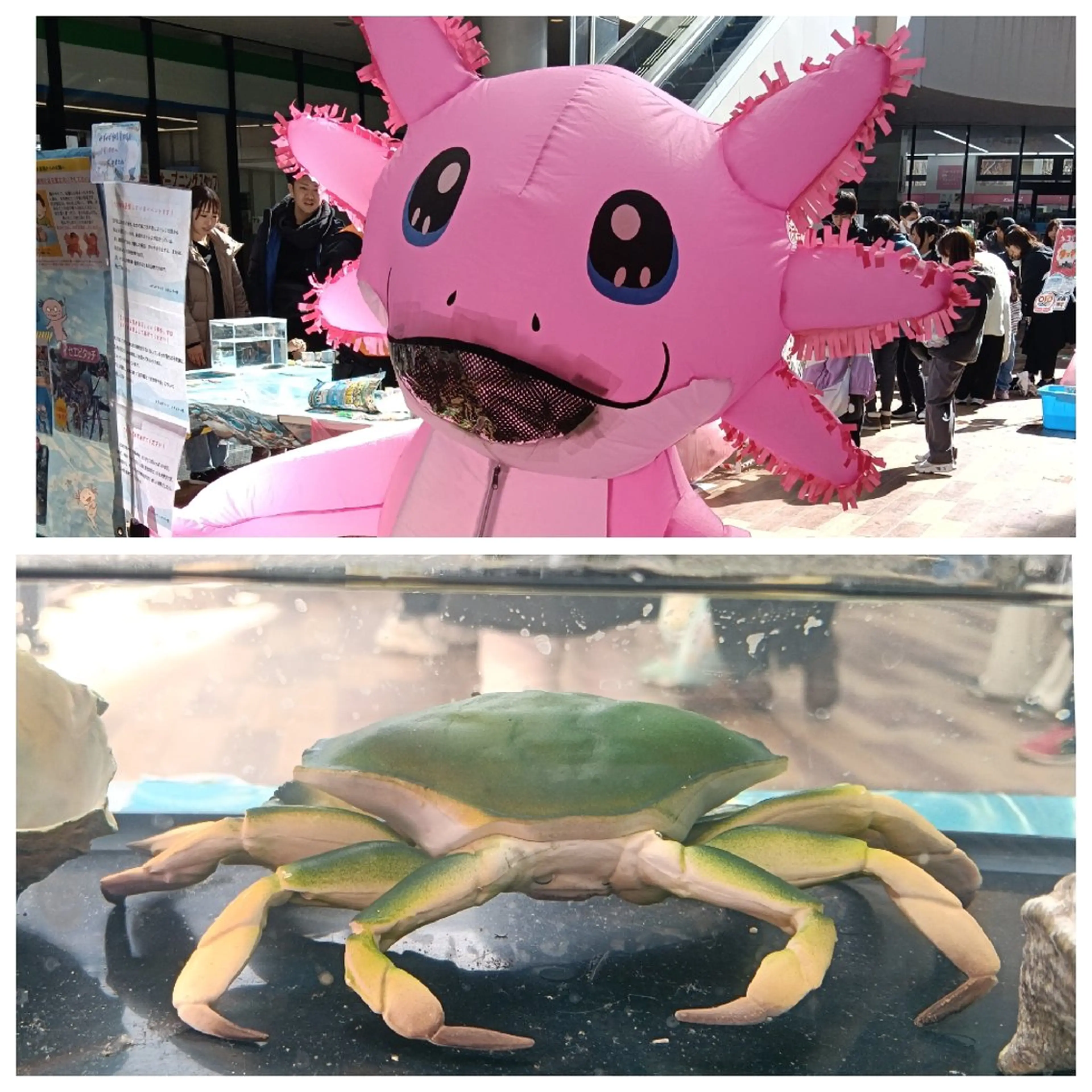 千の樹所属・久保・女性専用 美咲のエステ・リラクイメージ