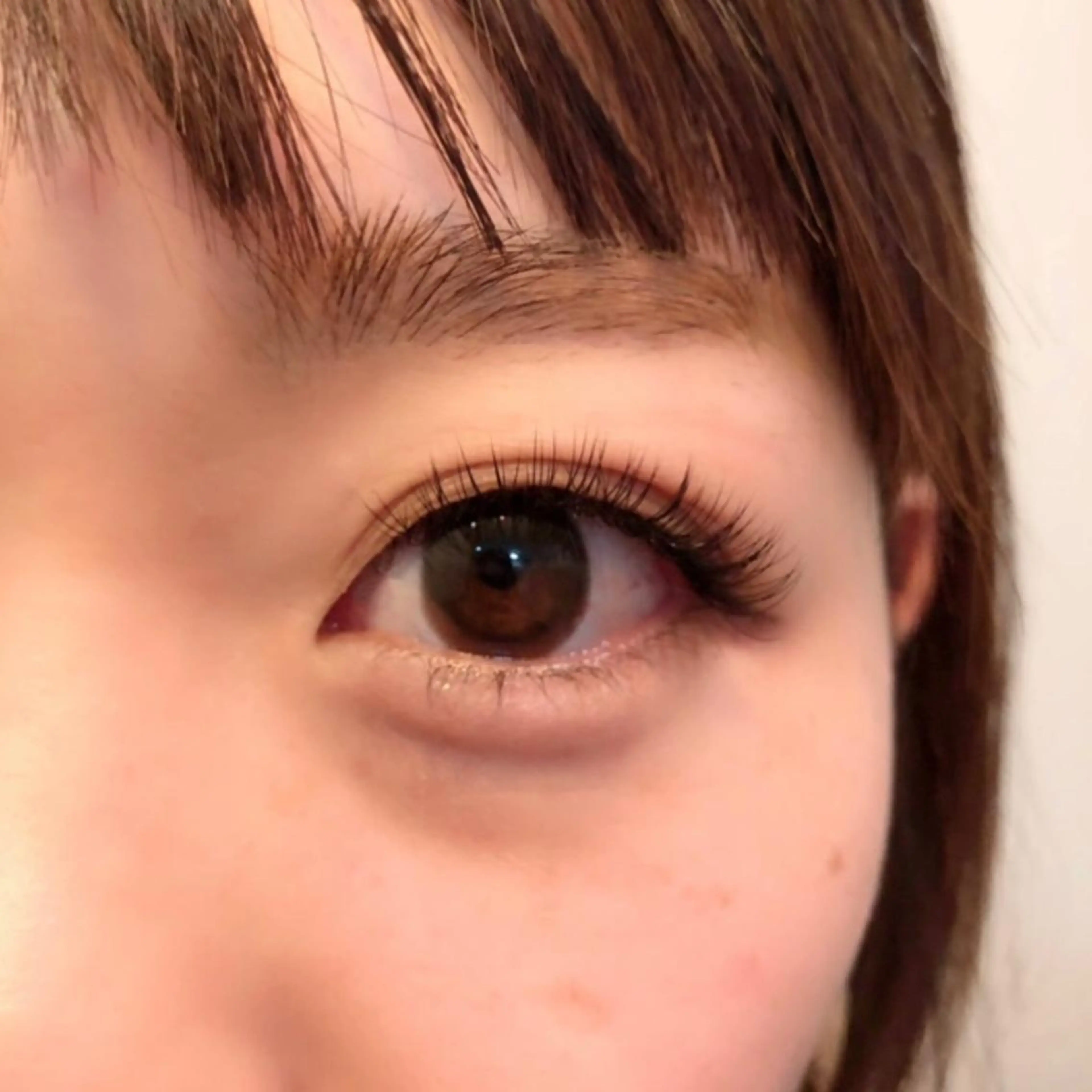 マツエク・マツパ カラーマツエク フラットラッシュ セーブル ボリュームラッシュ NEO Beauty Salon所属・𝐍𝐄𝐎 𝐉𝐔𝐑𝐈のネイルデザイン