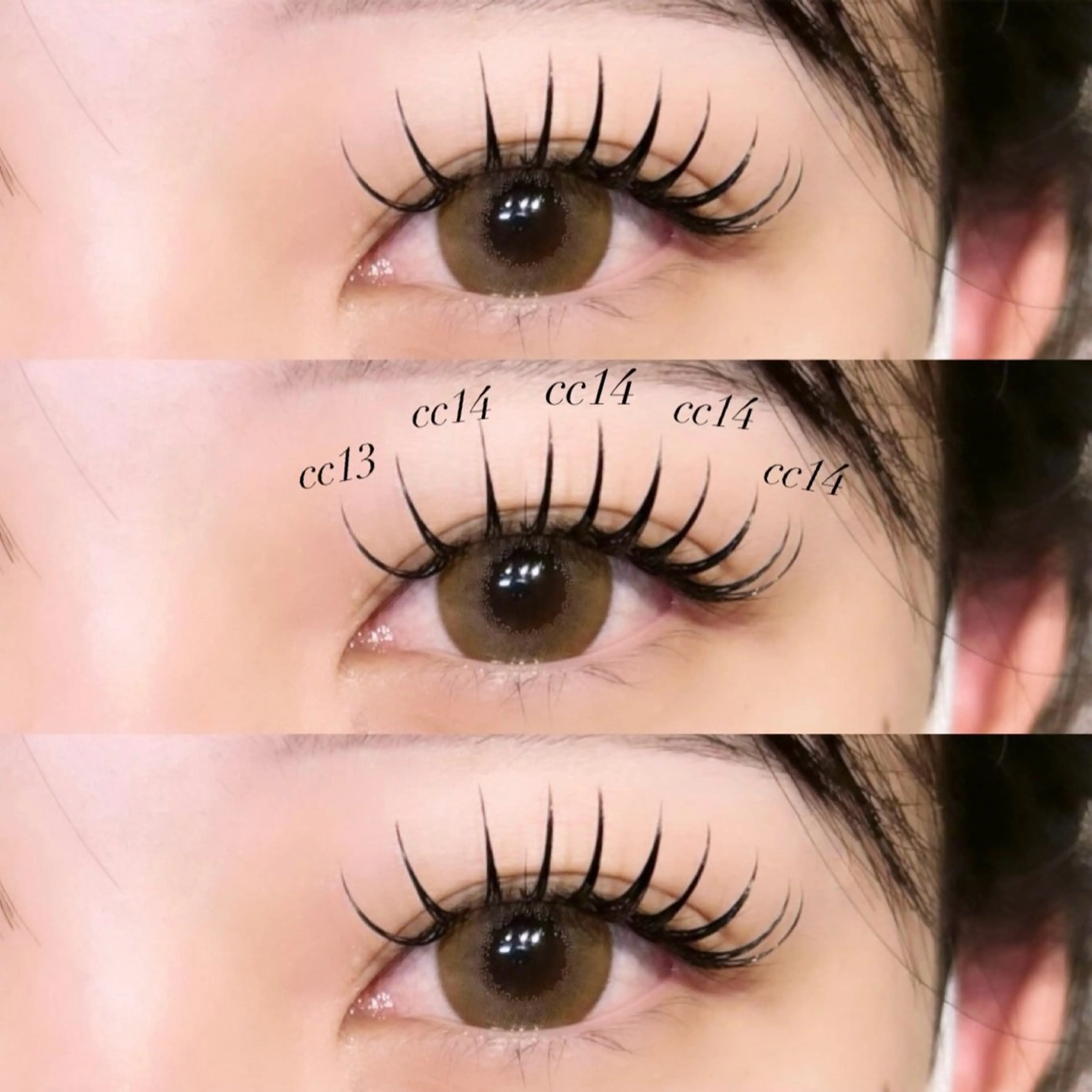 - ̀͏̗人気 ́͏̖-バインドロック　120束ᕷ⋆͛の写真