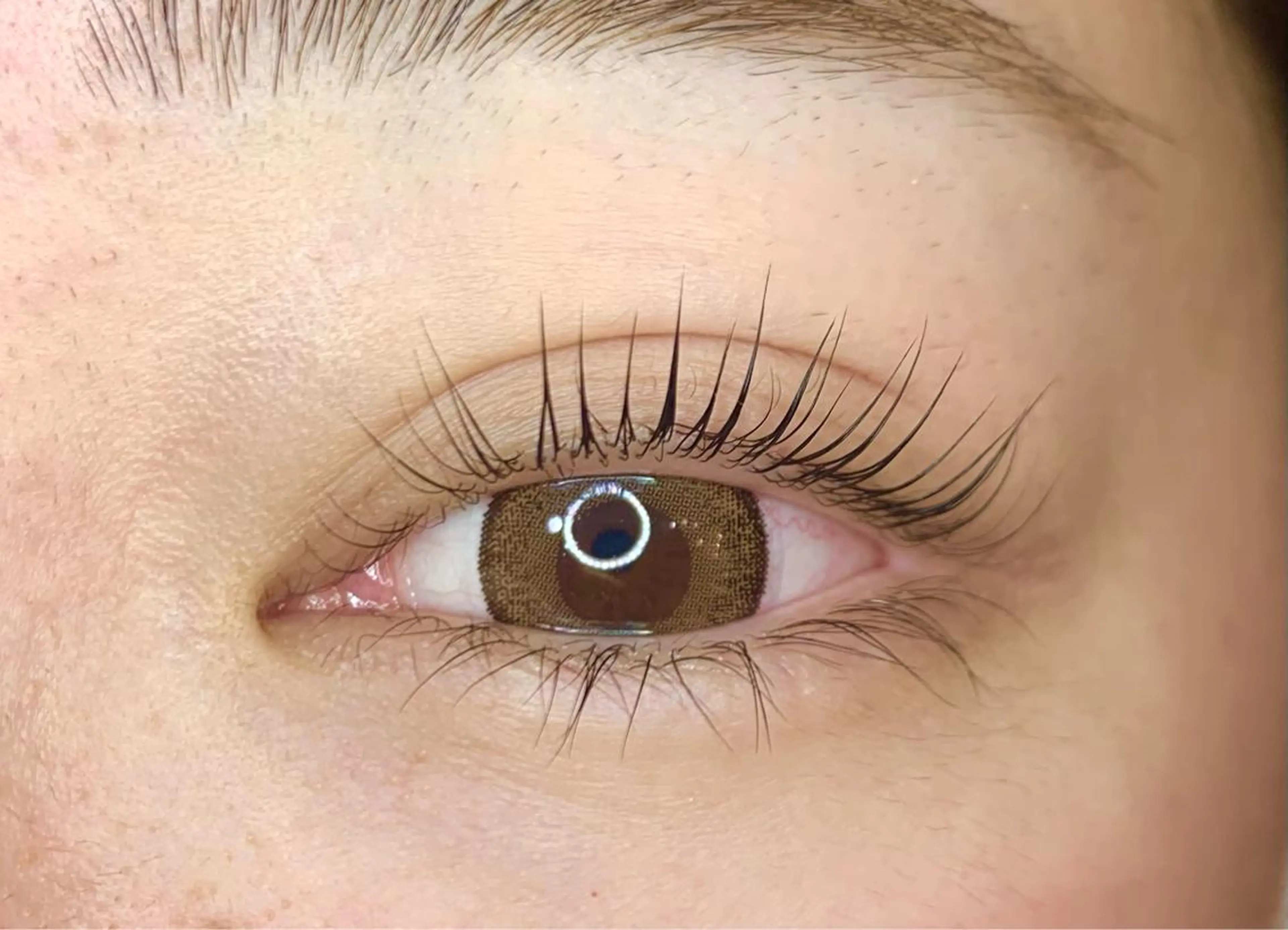 マツエク・マツパ パリジェンヌラッシュリフト étora新宿 まつげ/眉毛のマツエク・マツパデザイン