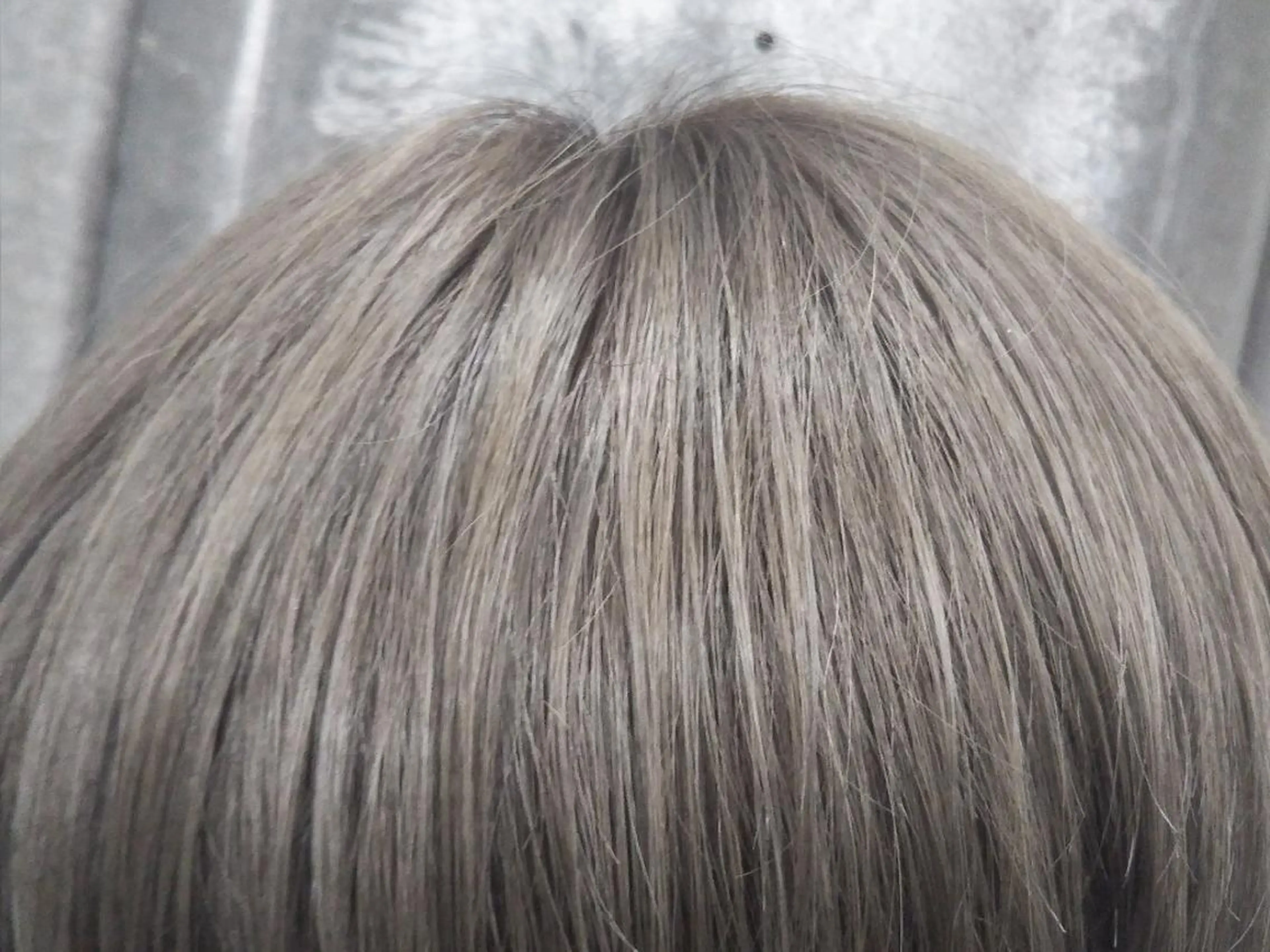 カラー phiphi.所属・phiphi. 【ピピ】のヘアスタイル