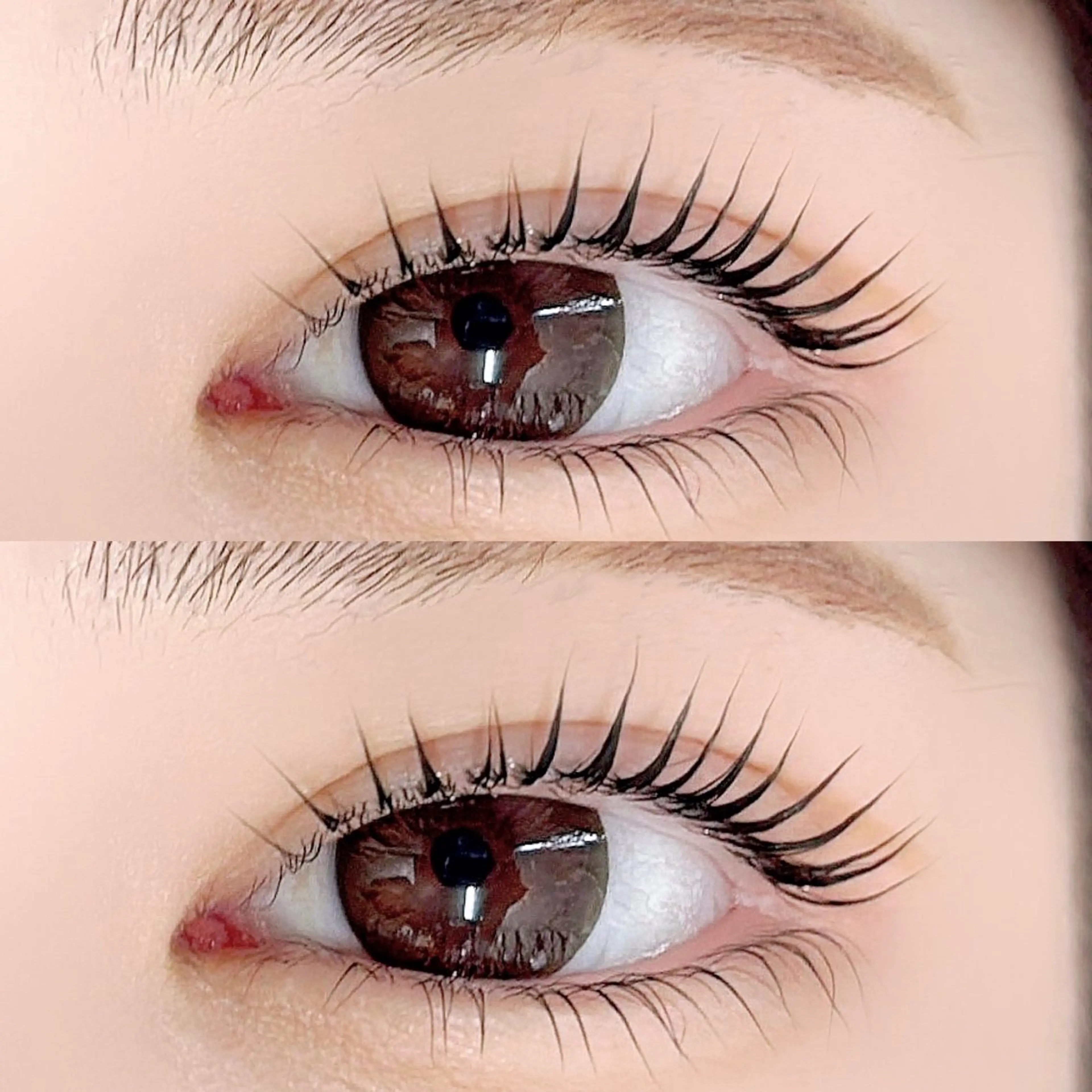 マツエク・マツパ パリジェンヌラッシュリフト マツパ FASTLASH🌹 パリジェンヌのマツエク・マツパデザイン