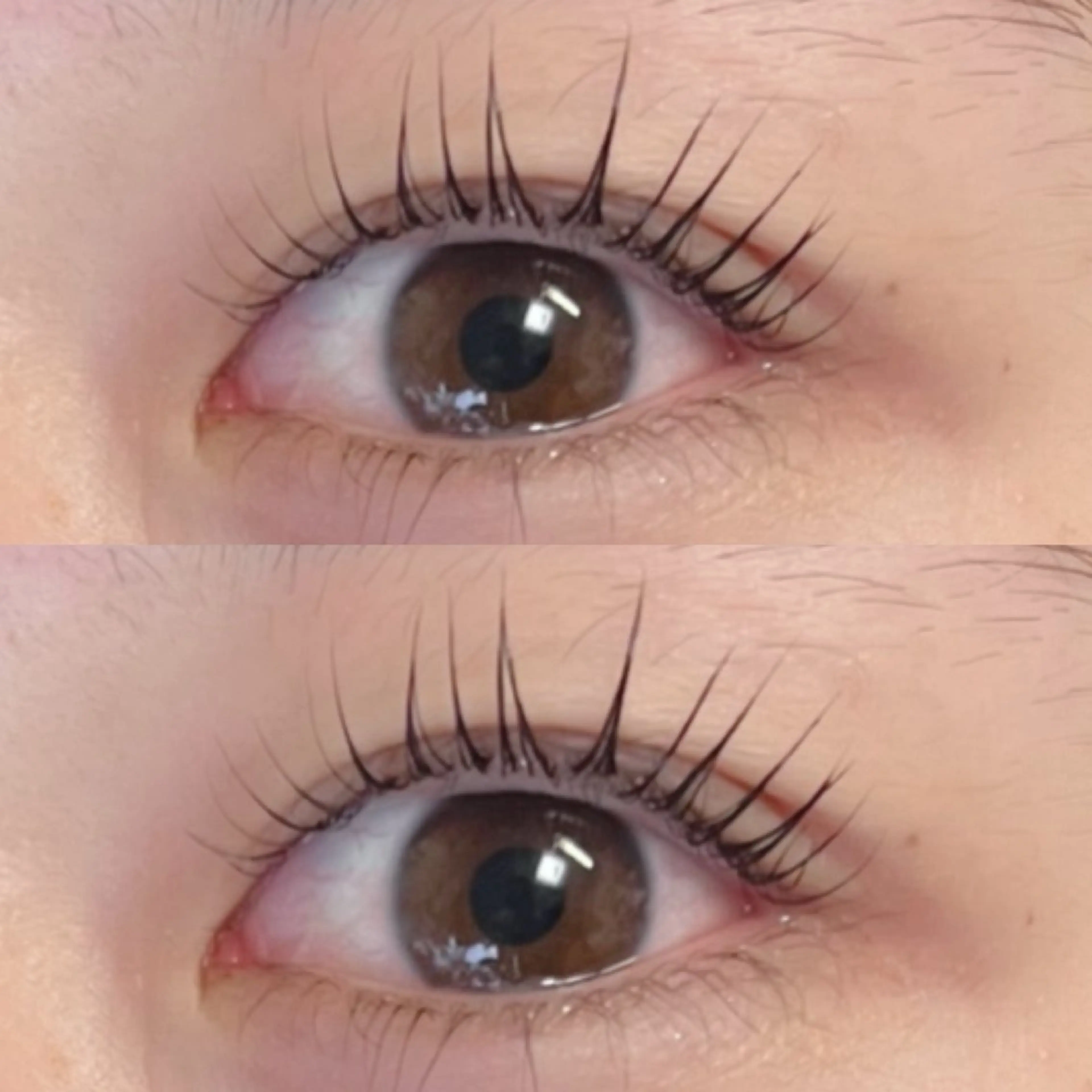 マツエク・マツパ Moe/韓国風/ 束感/キュート❤︎のマツエク・マツパデザイン