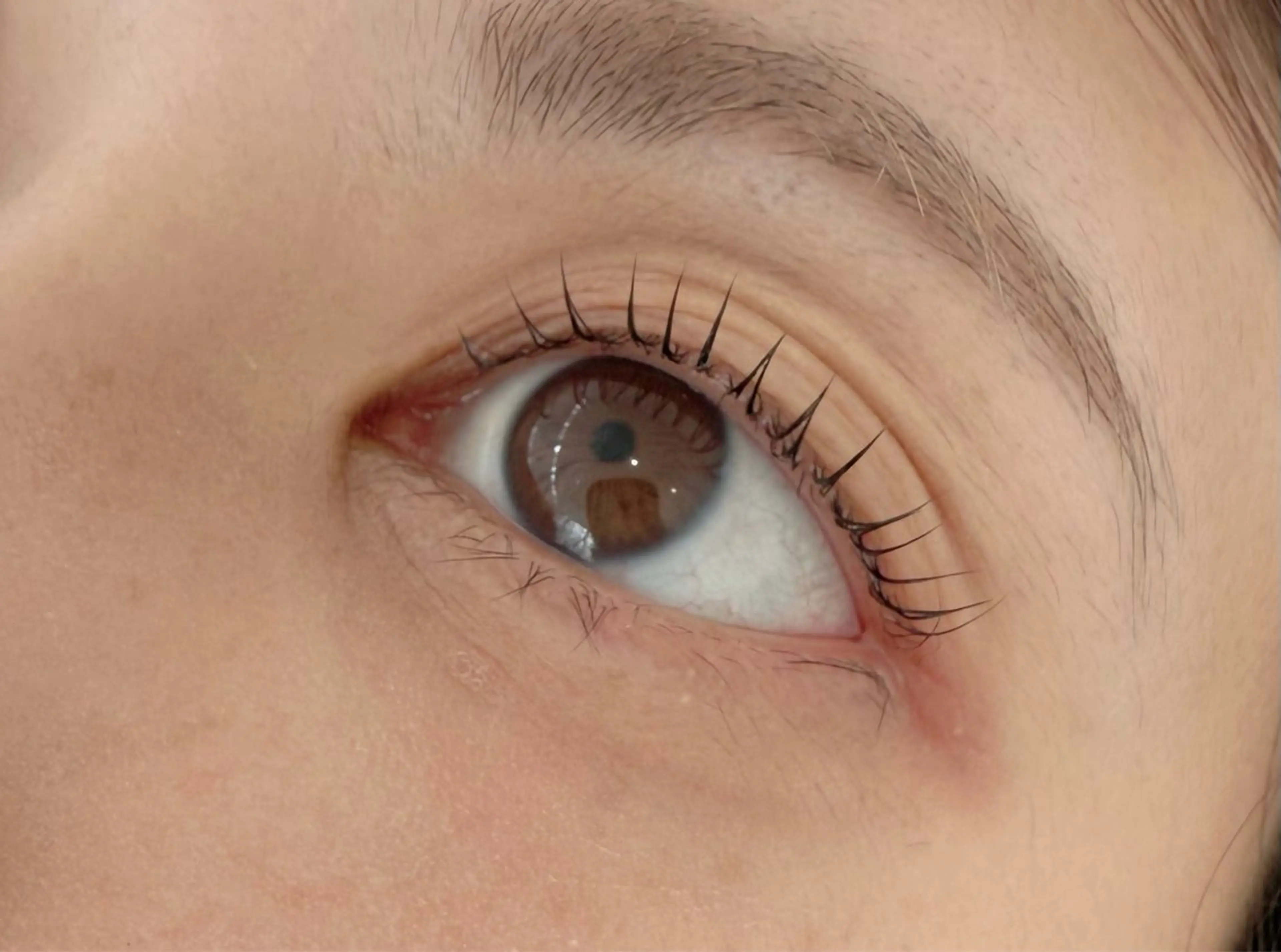 【平日限定9​〜​13時限定】まつ毛パーマの写真