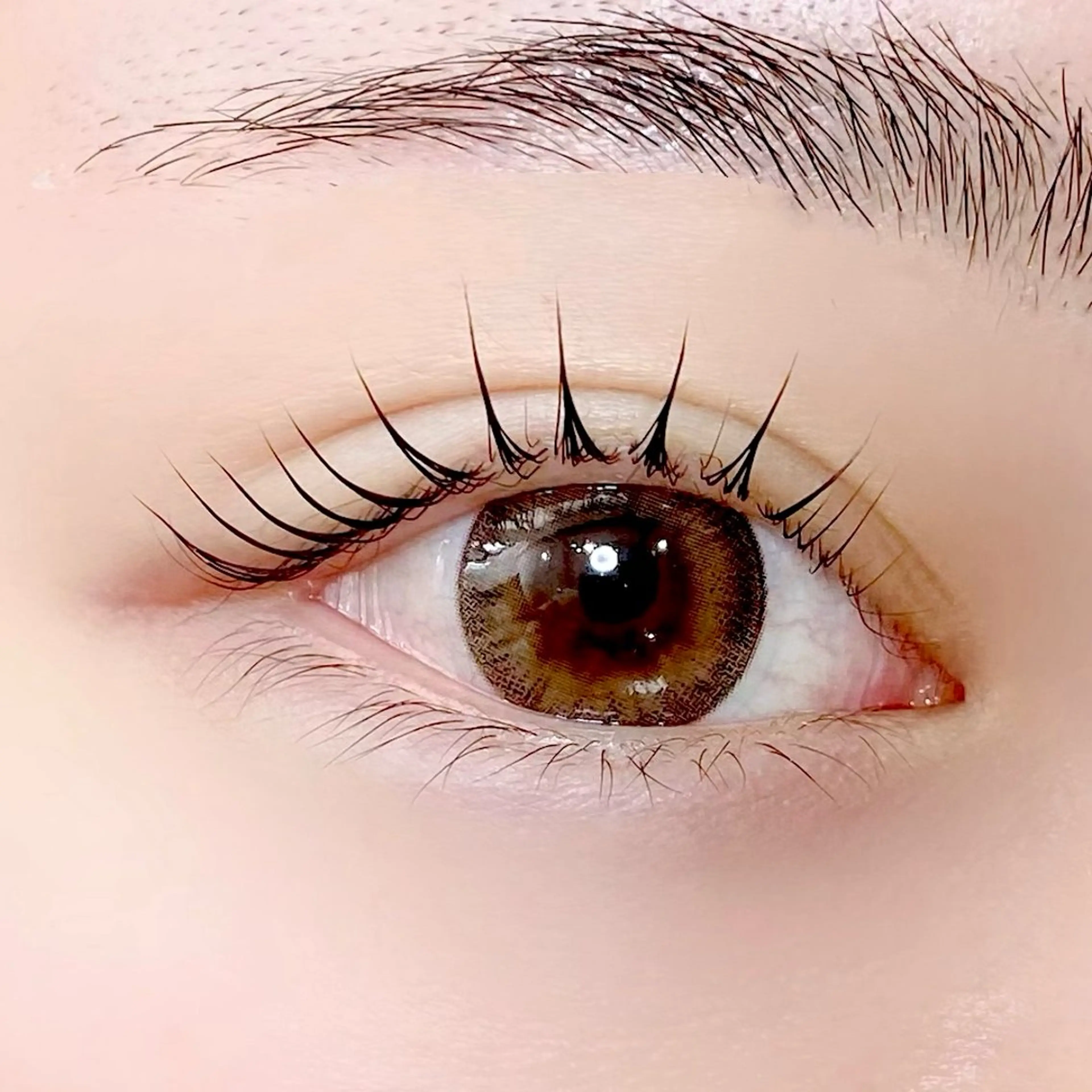 マツエク・マツパ 一重×まつ毛パーマ サロン ド フォース 西船橋店/伊藤のマツエク・マツパデザイン