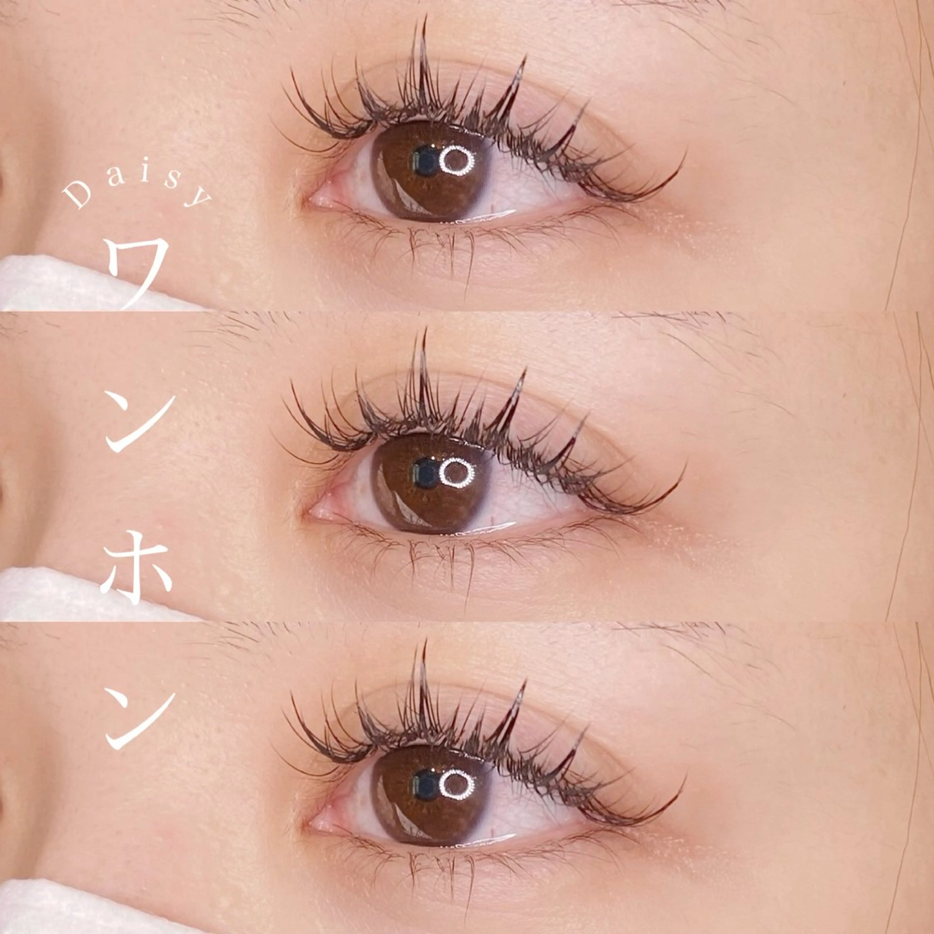 マツエク・マツパ 束感まつ毛 ワンホンマツエク 𝐷𝒂𝒊𝒔𝒚 デイジーのマツエク・マツパデザイン