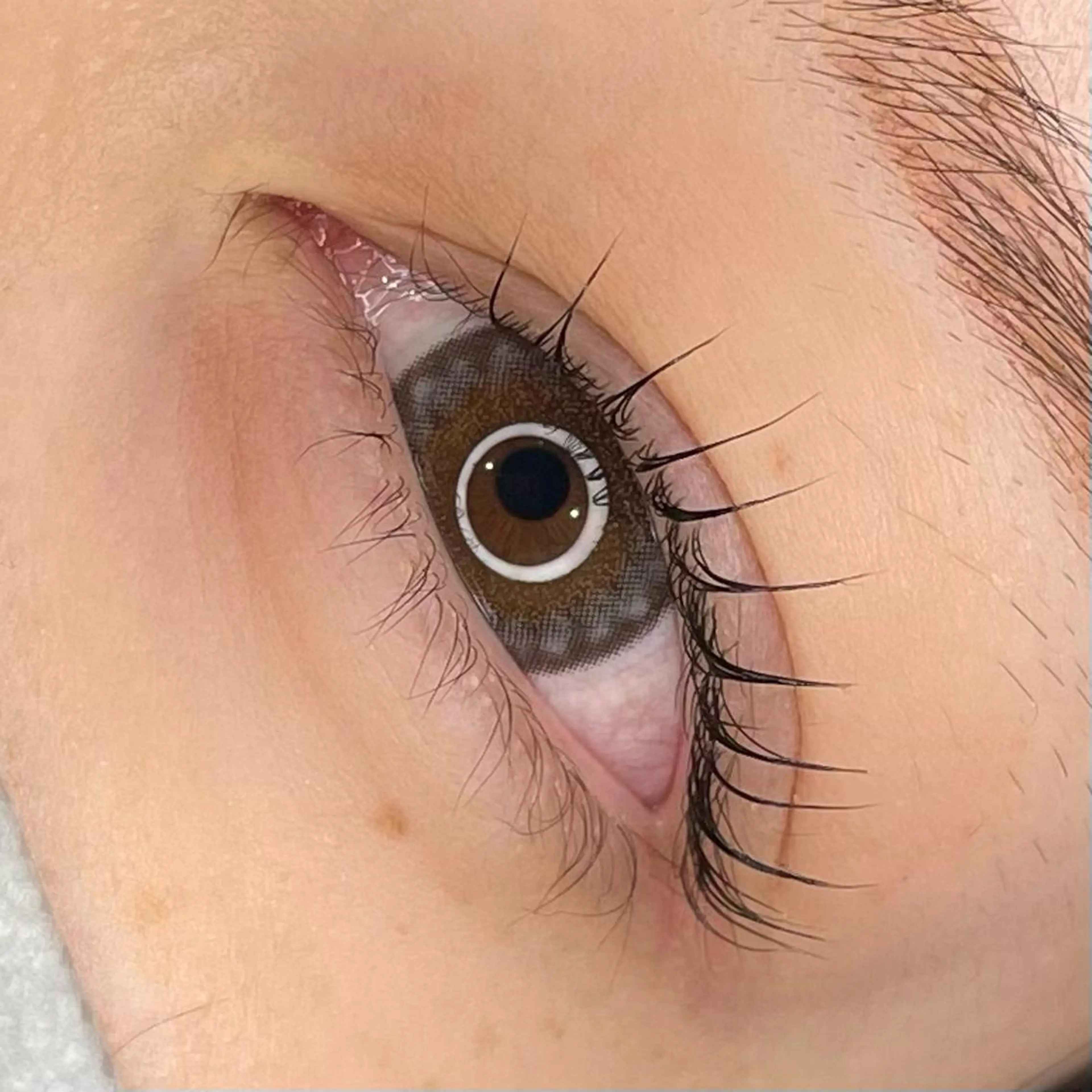 マツエク・マツパ chouchou 柏東口🫧🪽 橋本のマツエク・マツパデザイン