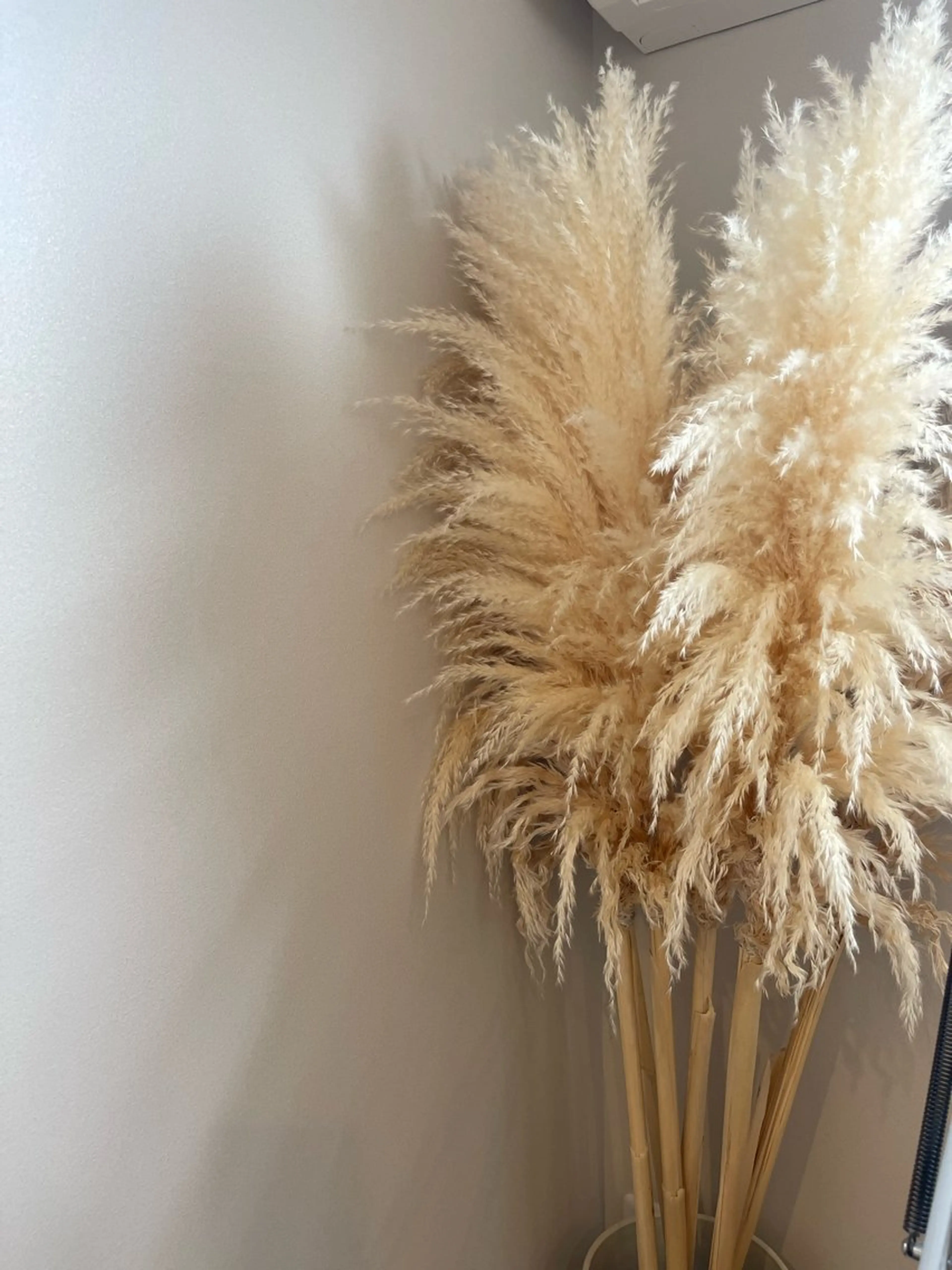 ネイル 829 Yuiのネイルデザイン