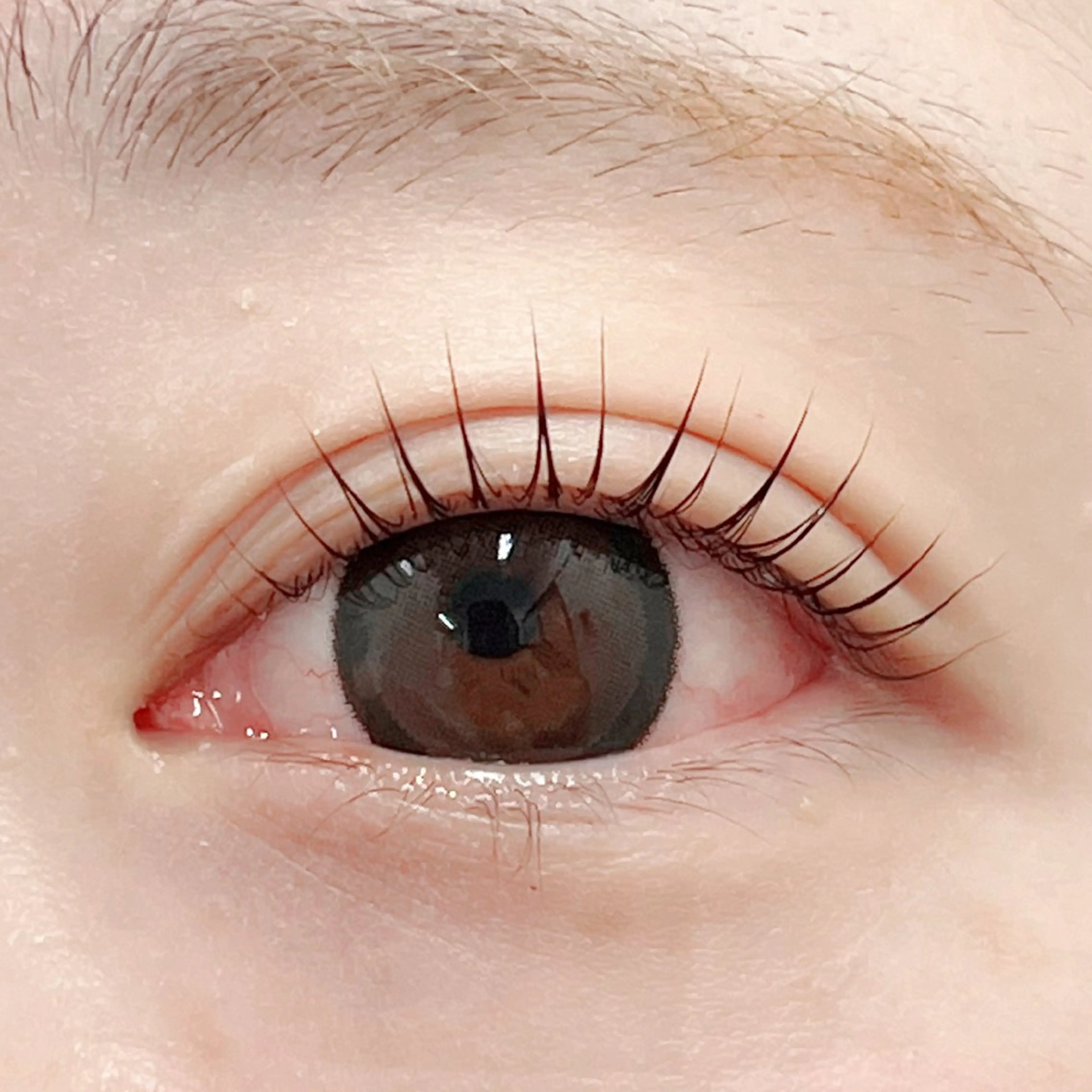 マツエク・マツパ マツパ 田村 莉子のマツエク・マツパデザイン