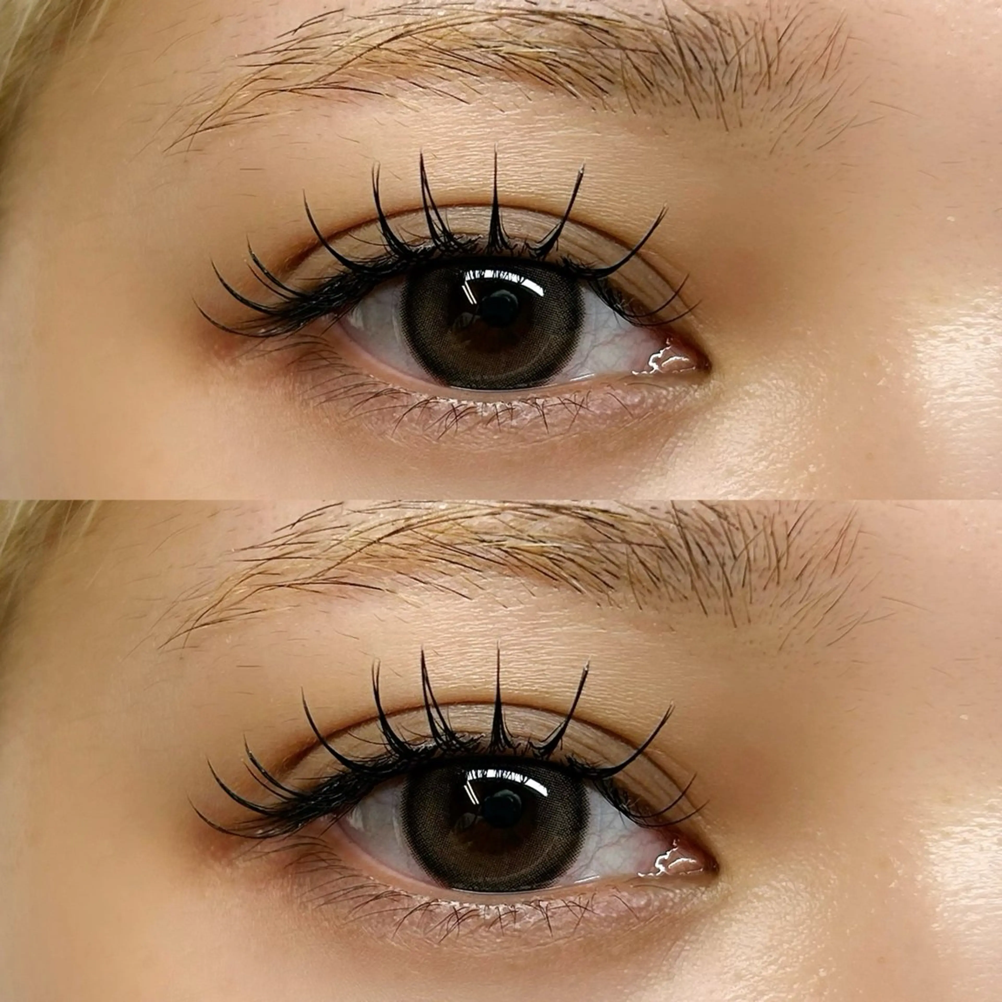 マツエク・マツパ ani 【アニ】所属・ani 【アニ】 恵比寿のマツエク・マツパデザイン